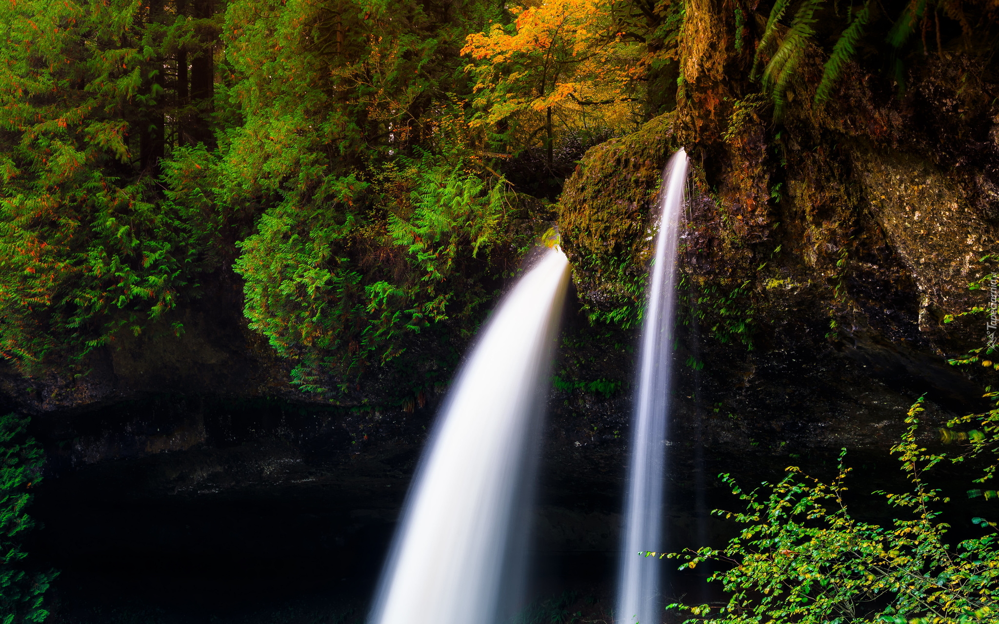 Wodospad North Falls, Roślinność, Skały, Stan Oregon, Stany Zjednoczone