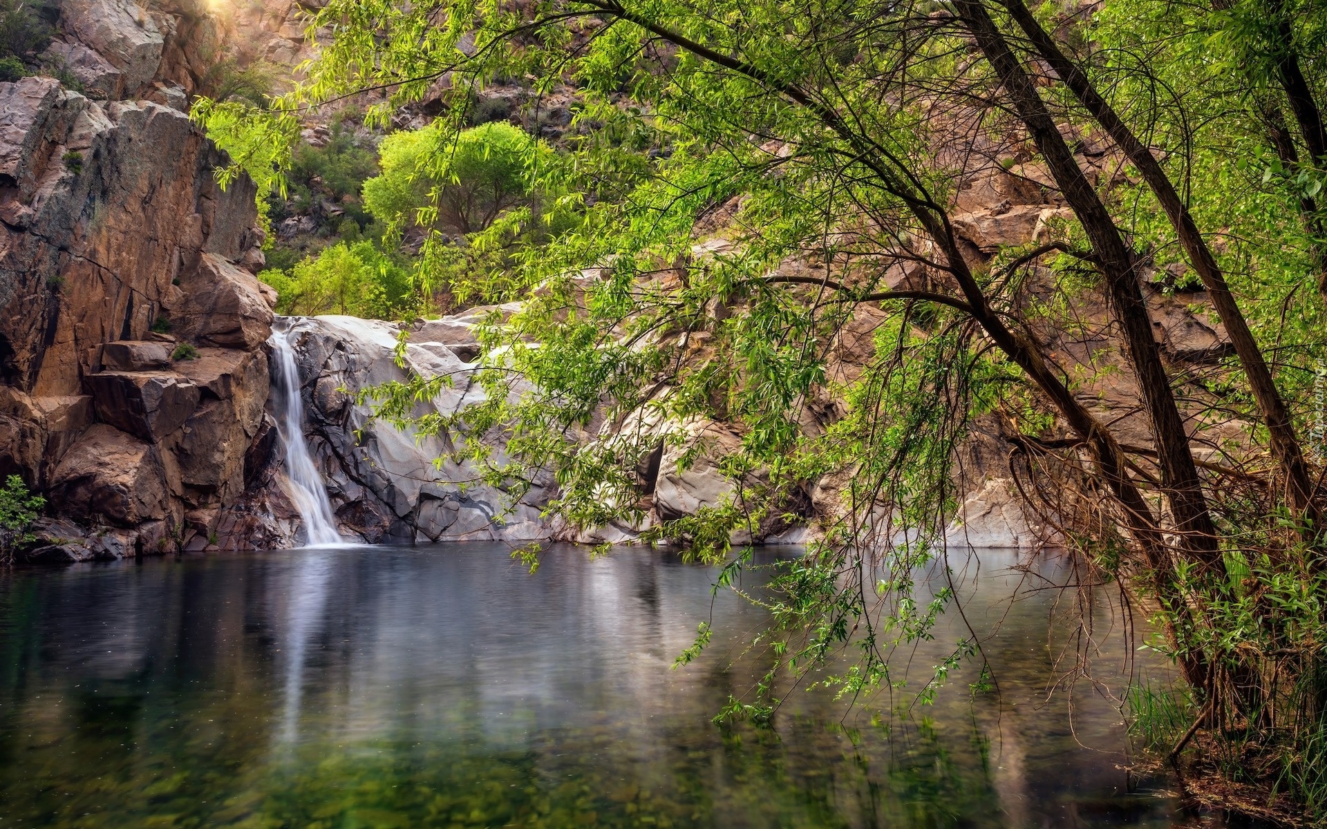 Stany Zjednoczone, Arizona, Skały, Drzewa, Wodospad, Oasis, Castle Creek Wilderness