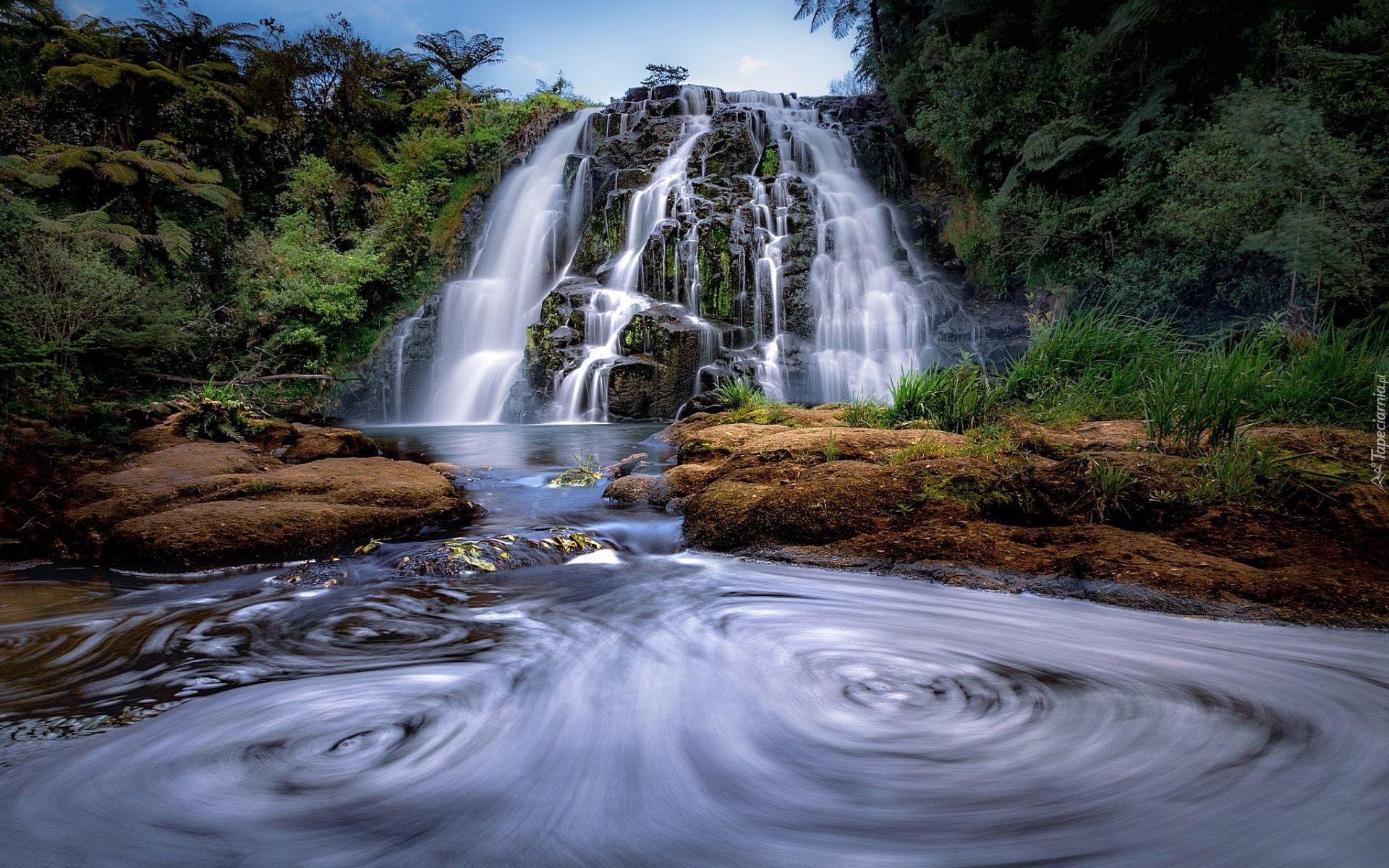 Wodospad Owharoa Falls W Waikato Wodospad Owharoa Falls W Waikato