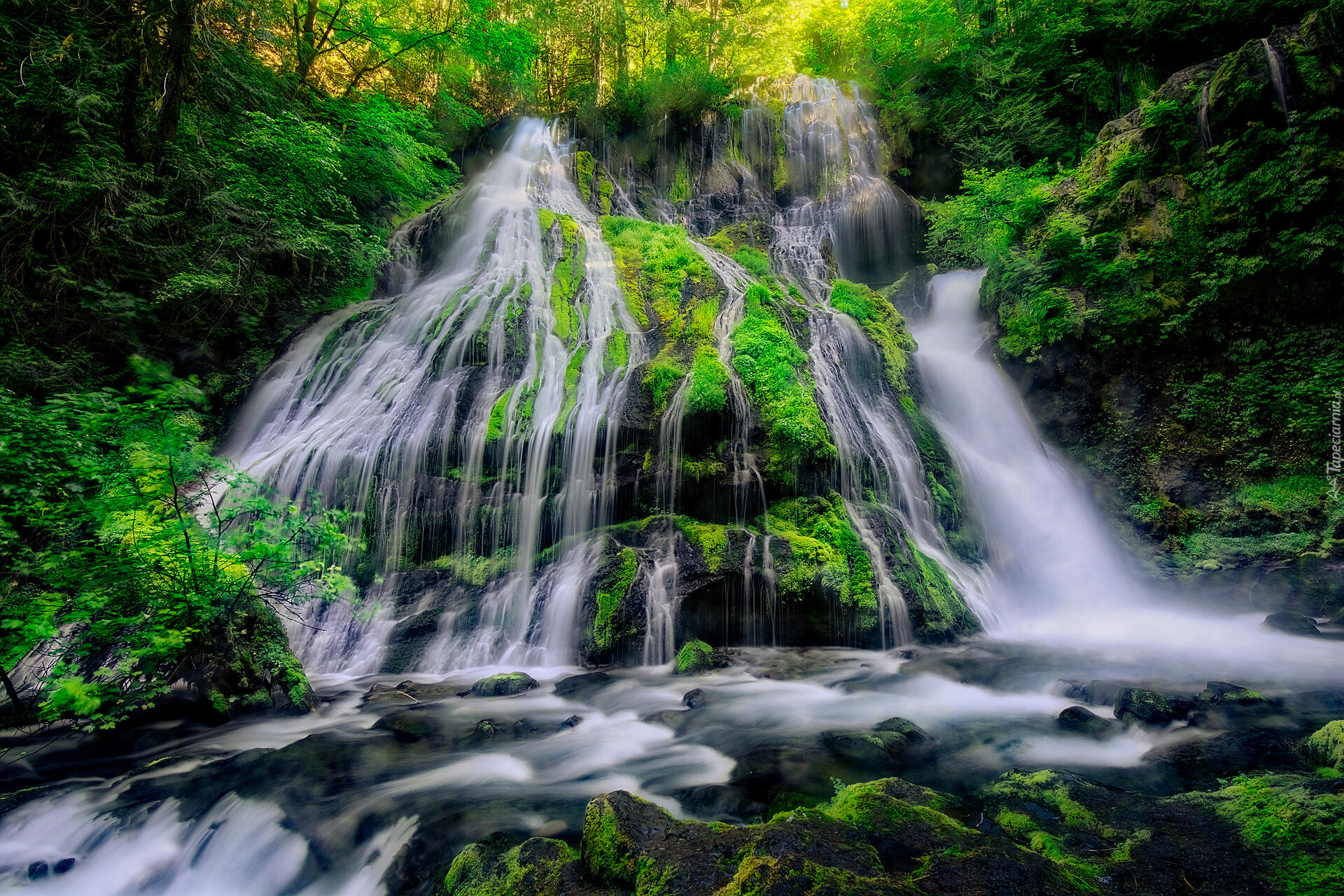 Drzewa, Omszona, Skała, Wodospad, Panther Creek Falls, Miejsce chronione, Gifford Pinchot National Forest, Stan Waszyngton, Stany Zjednoczone