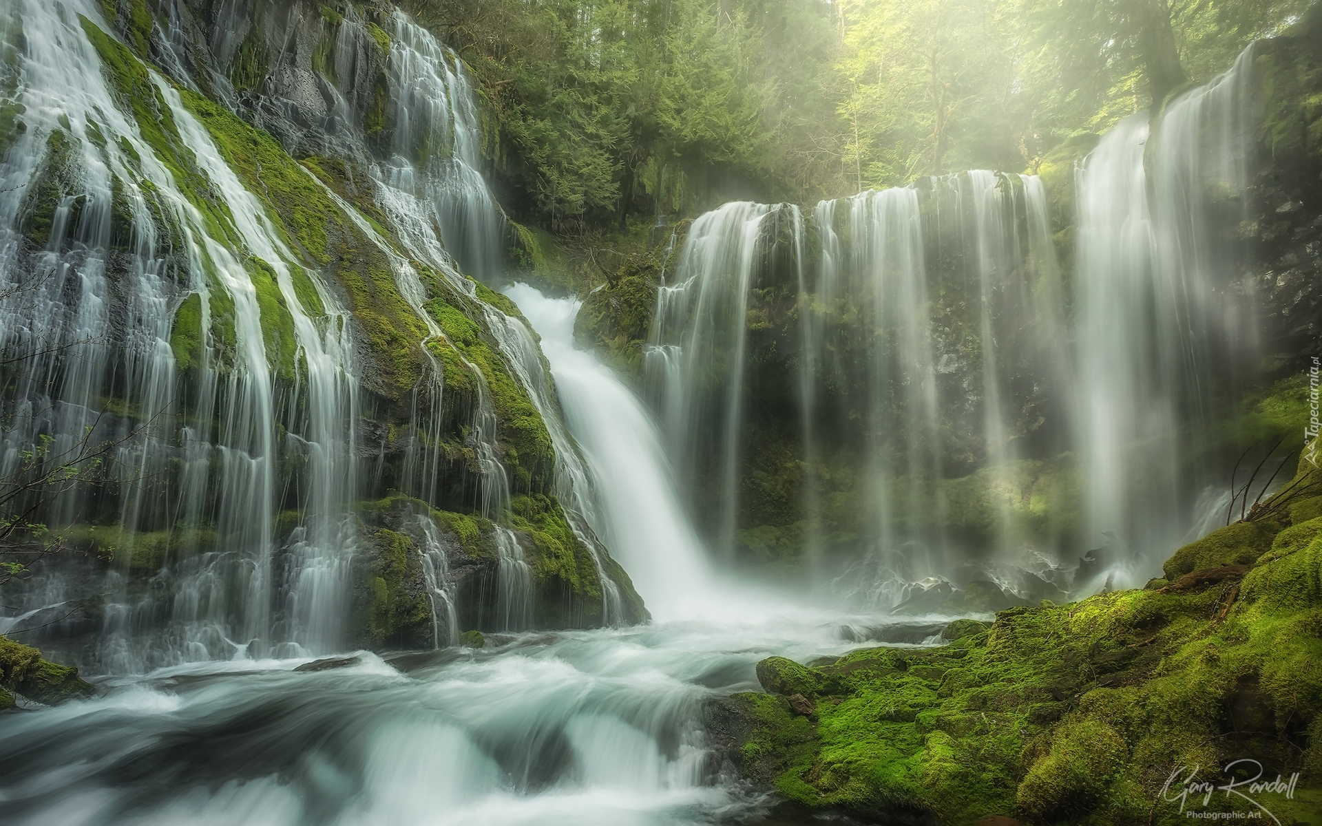 Stany Zjednoczone, Stan Waszyngton, Las, Drzewa, Roślinność, Wodospad, Panther Creek Falls, Miejsce chronione, Gifford Pinchot National Forest