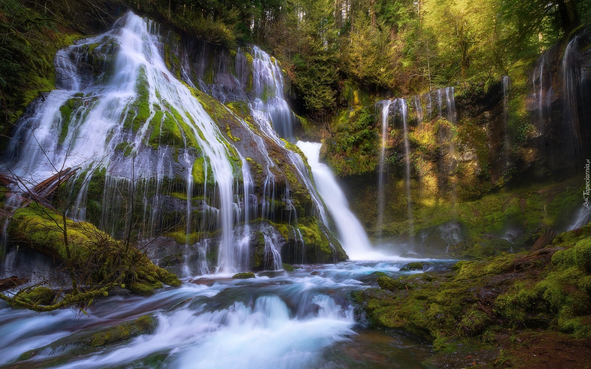 Stany Zjednoczone, Stan Waszyngton, Las, Drzewa, Wodospad, Panther Creek Falls, Gifford Pinchot National Forest