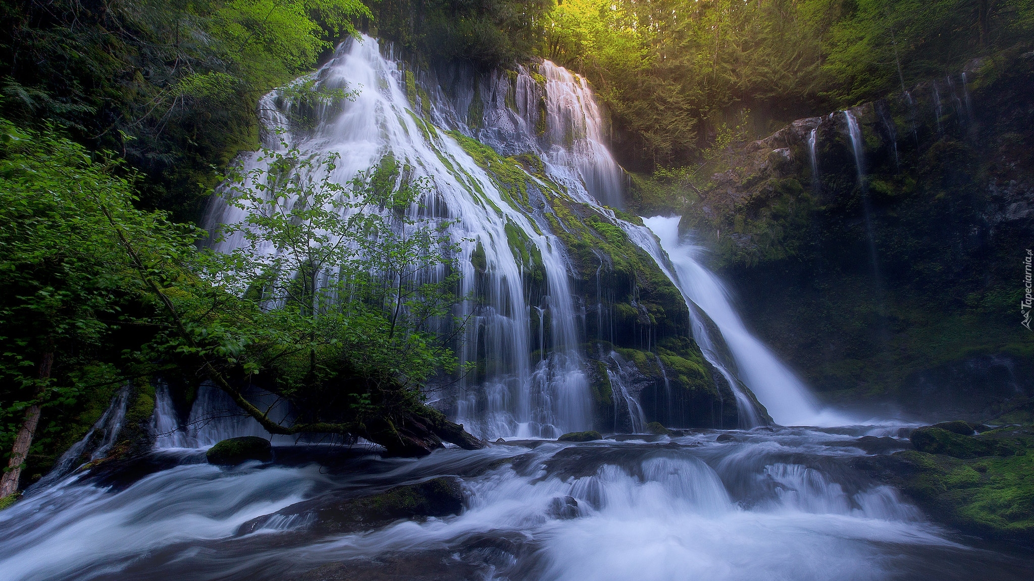 Stany Zjednoczone, Stan Waszyngton, Las, Drzewa, Skały, Wodospad Panther Creek Falls