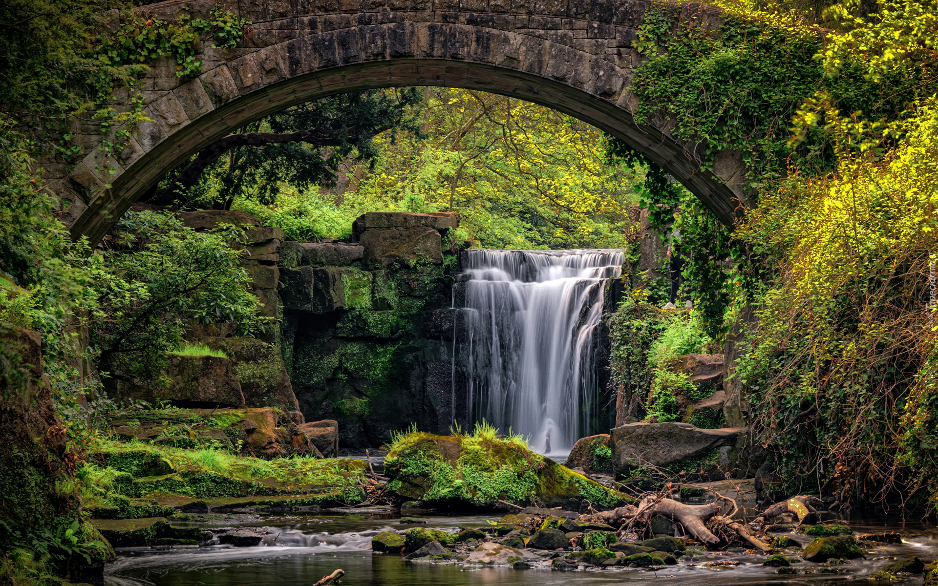 Wodospad, Jesmond Dean Waterfall, Drzewa, Most, Kamienie, Rośliny, Newcastle, Anglia