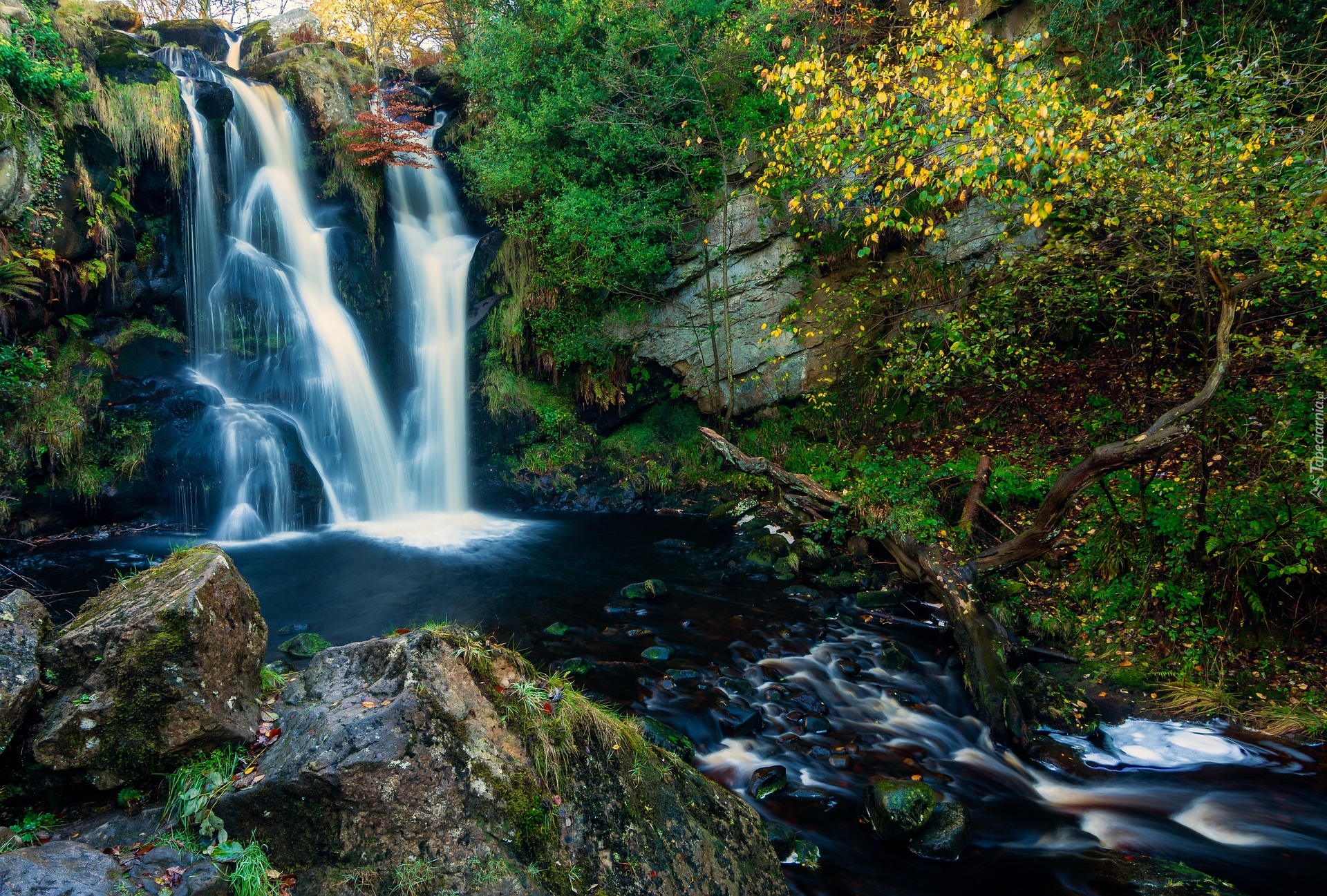 Anglia, Hrabstwo West Yorkshire, Valley Of Desolation, Wodospad Posforth Gill, Las, Drzewa, Skały