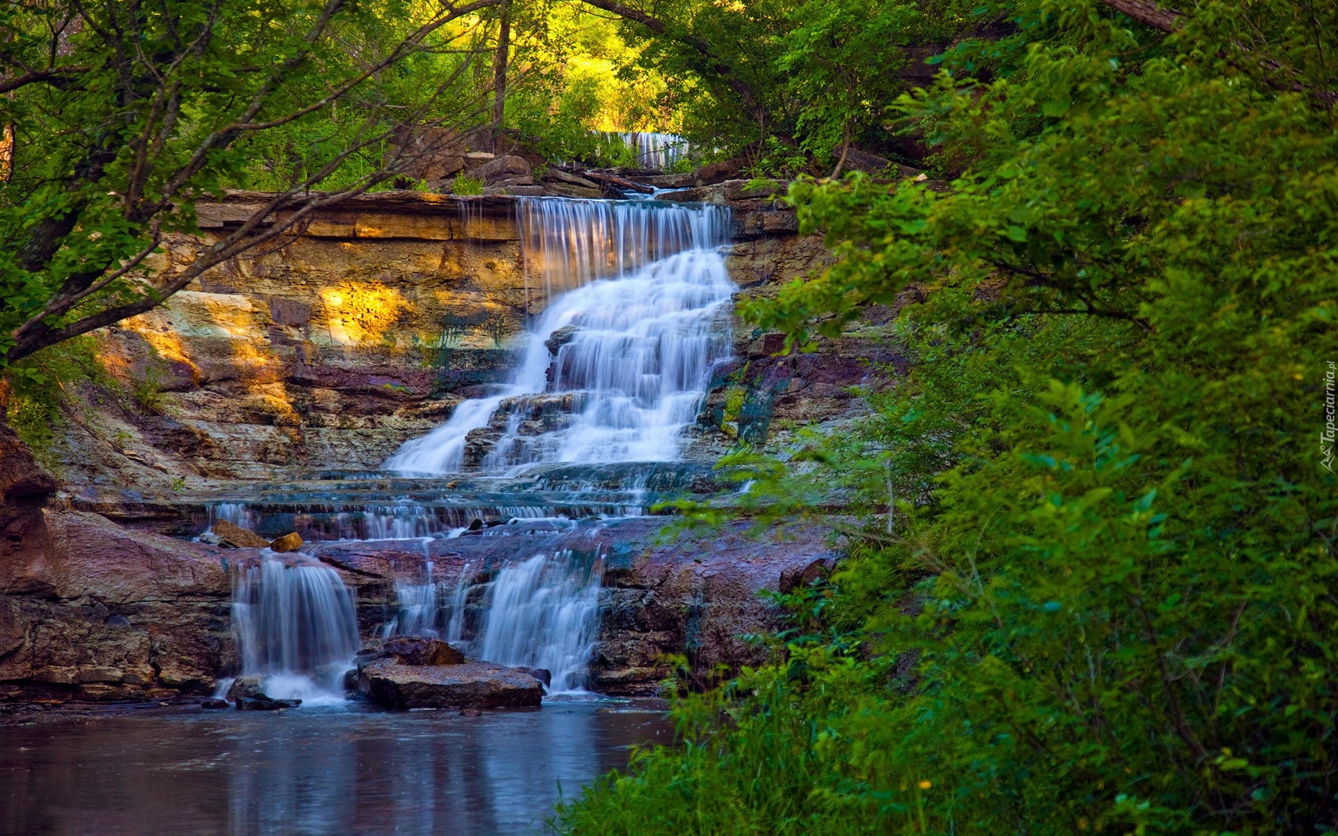 Stany Zjednoczone, Stan Kansas, Wodospad Prather Creek Falls, Las, Skały, Drzewa