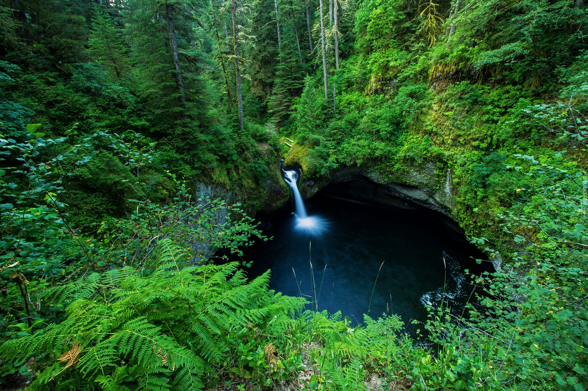 Wodospad Punch Bowl Falls, Las, Paprocie, Drzewa, Oregon, Stany Zjednoczone