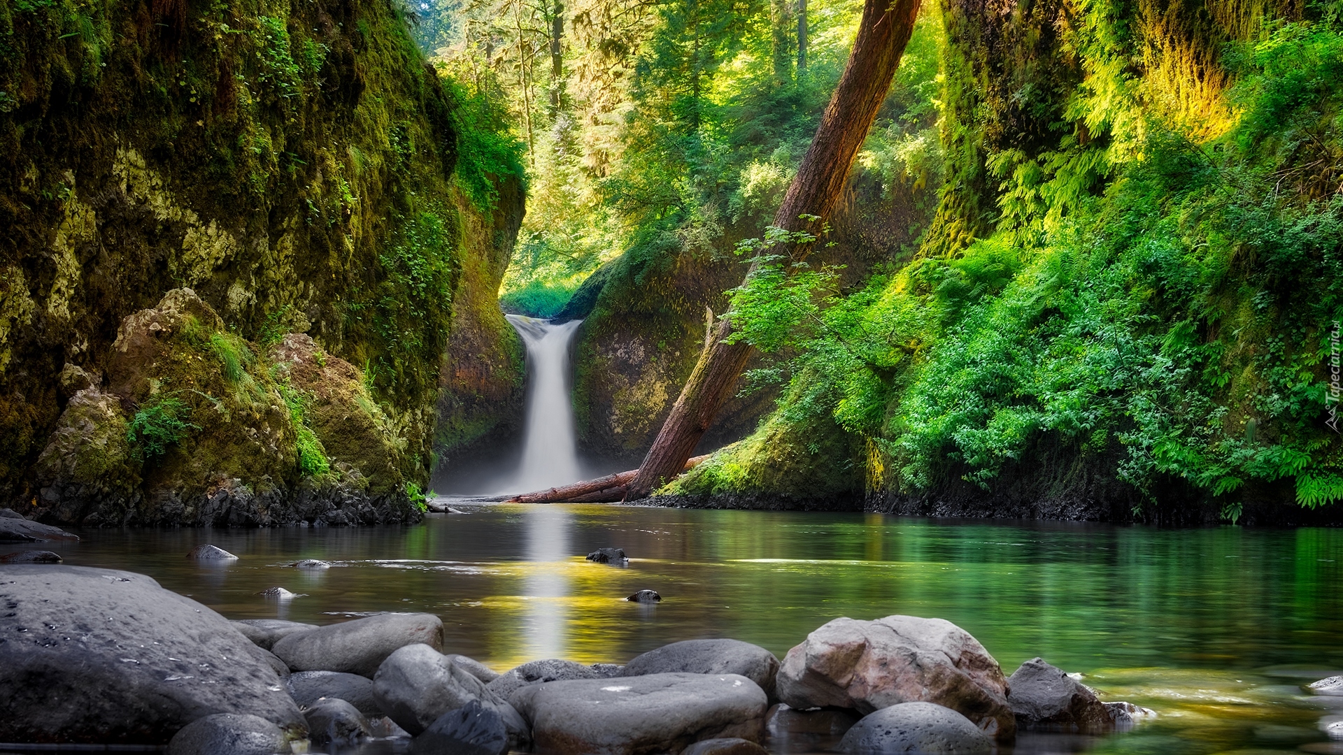 Wodospad Punch Bowl Falls, Eagle Creek, Rzeka Kolumbia River, Kamienie, Skały, Drzewa, Roślinność, Stan Oregon, Stany Zjednoczone
