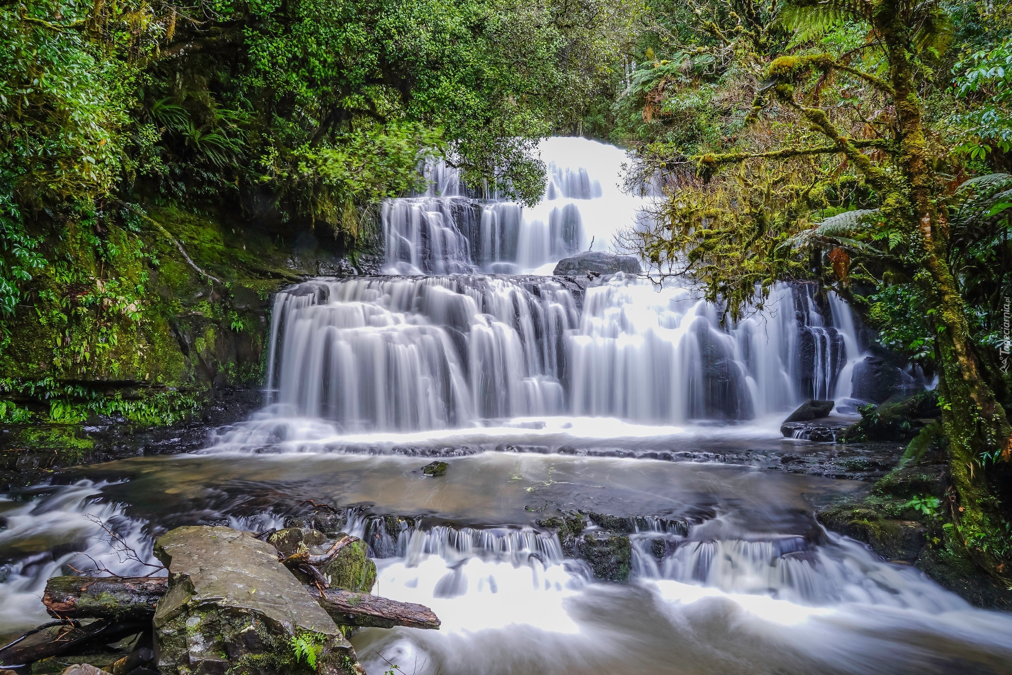 Las, Wodospad, Purakaunui Falls, Drzewa, Skała, Catlins, Nowa Zelandia