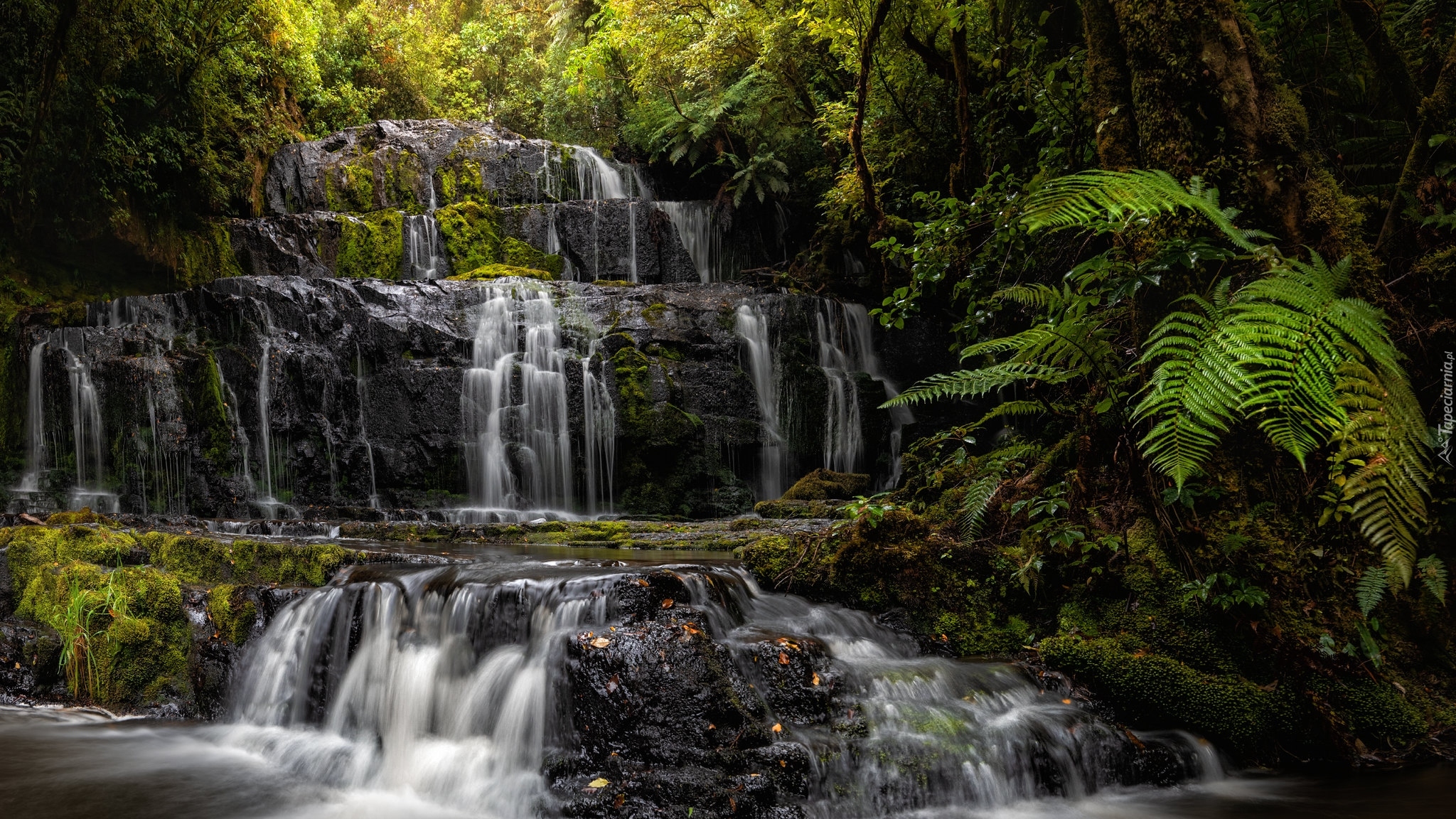 Kaskada, Rzeka, Skały, Wodospad, Purakaunui Falls, Drzewa, Paprocie, Catlins, Nowa Zelandia