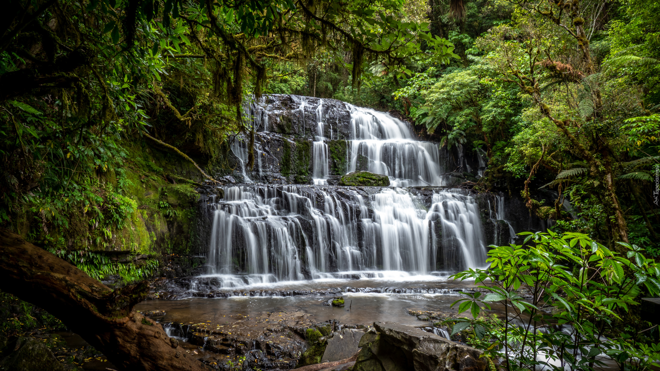 Wodospad, Purakaunui Falls, Drzewa, Skała, Catlins, Nowa Zelandia