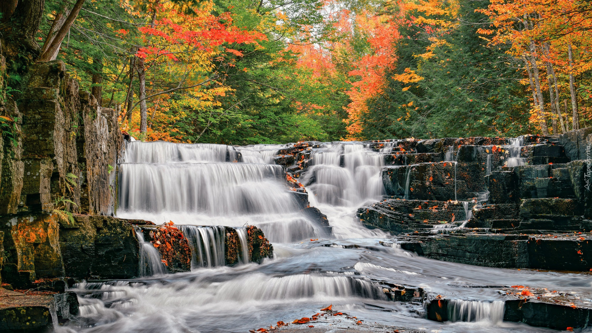 Wodospad, Quartzite Falls, Jesień, Drzewa, Rzeka, Slate River, Kamienie, Liście, Hrabstwo Baraga, Michigan, Stany Zjednoczone