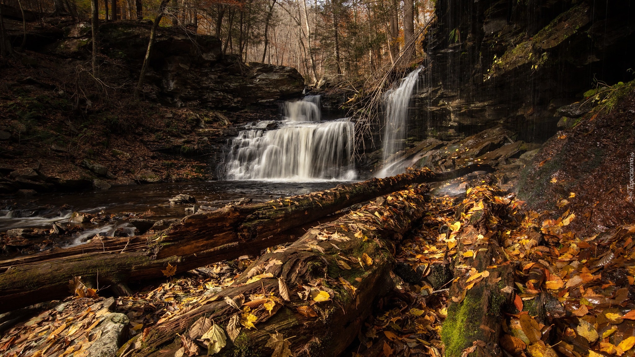 Jesień, Las, Skały, Wodospad, R B Ricketts Falls, Żółte, Liście, Stan Pensylwania, Stany Zjednoczone