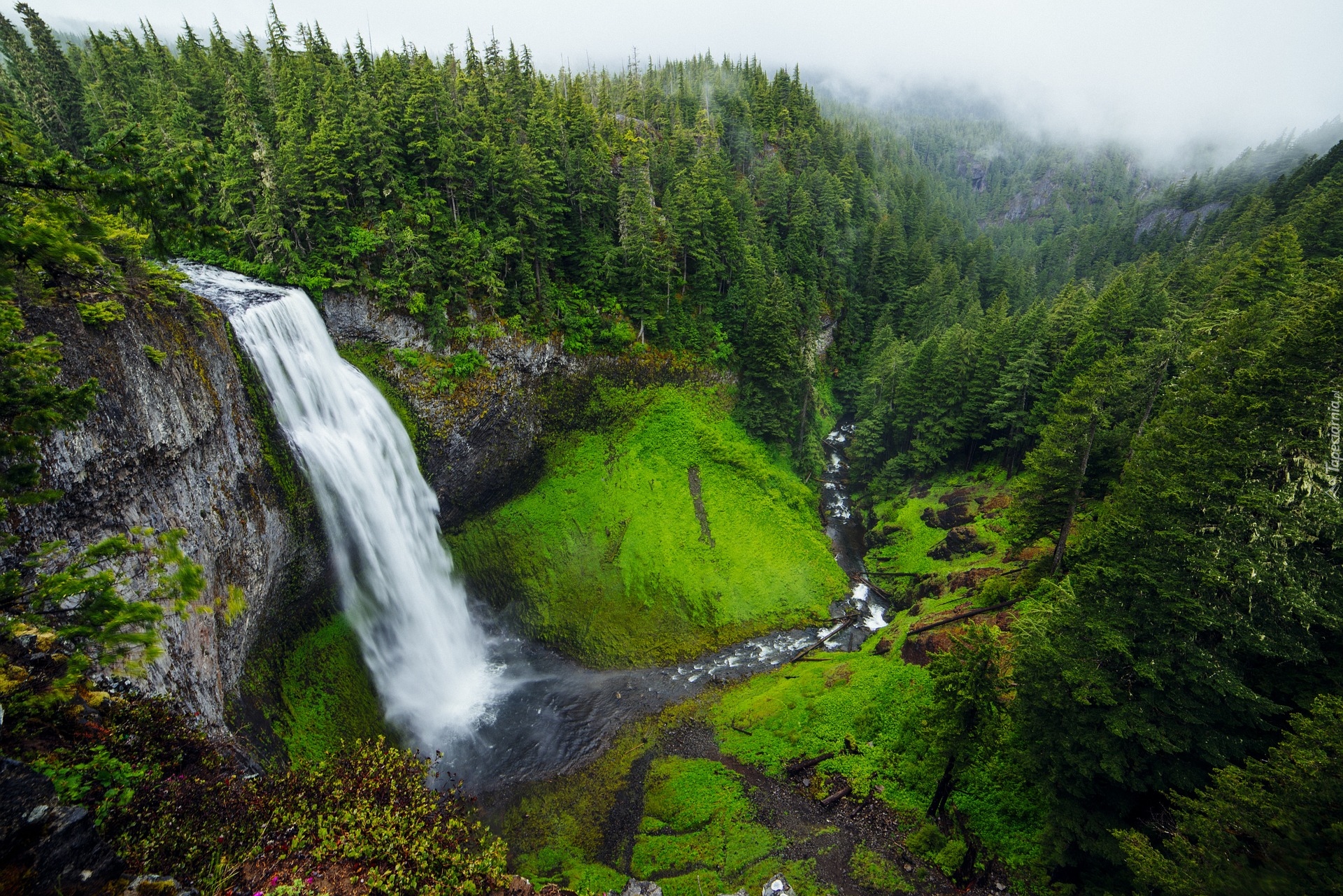 Wodospad, Salt Creek Falls, Skały, Lasy, Rzeka, Willamette River, Oregon, Stany Zjednoczone