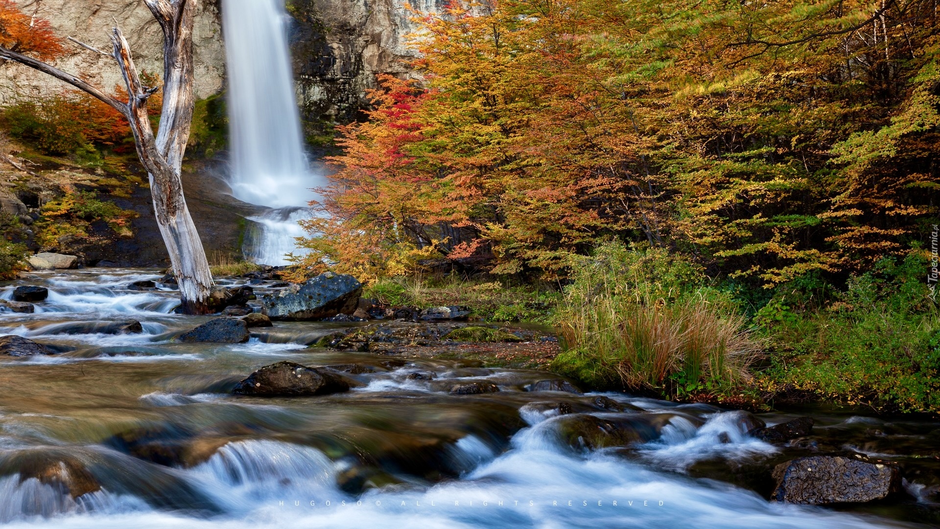 Argentyna, Patagonia, Skały, Wodospad, Salto do Chorrillo, Park Narodowy Los Glaciares, Rzeka, Jesień, Drzewa