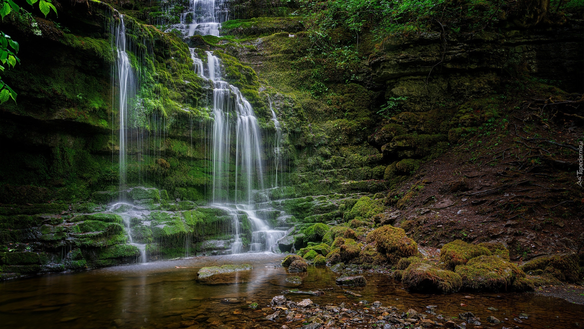 Wodospad, Scaleber Force Falls, Park Narodowy Yorkshire Dales, Omszałe, Skały, Kamienie, Rośliny, Hrabstwo North Yorkshire, Anglia