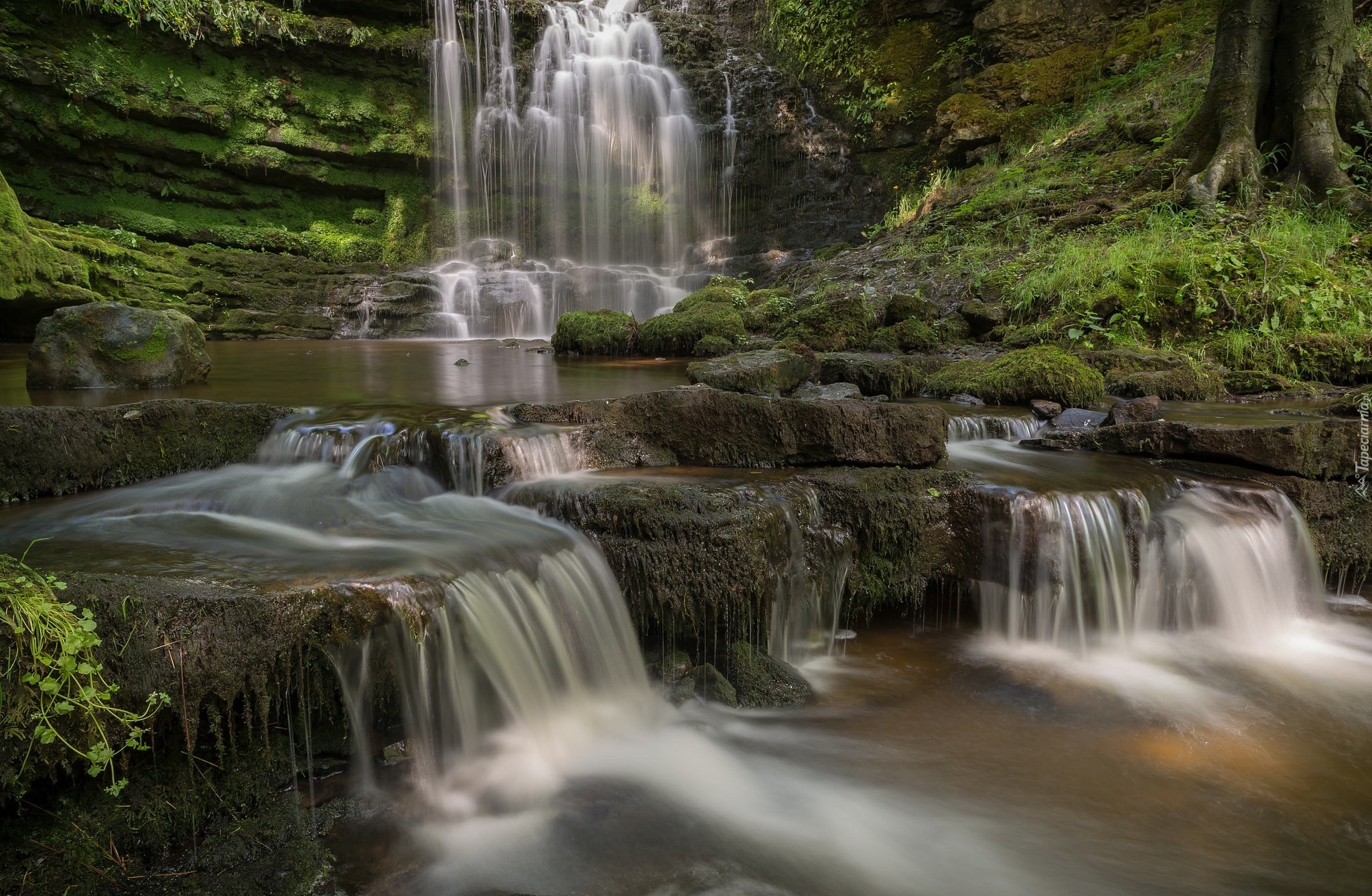 Anglia, Hrabstwo North Yorkshire, Park Narodowy Yorkshire Dales, Wodospad Scaleber Force, Omszałe, Skały, Kamienie, Rośliny