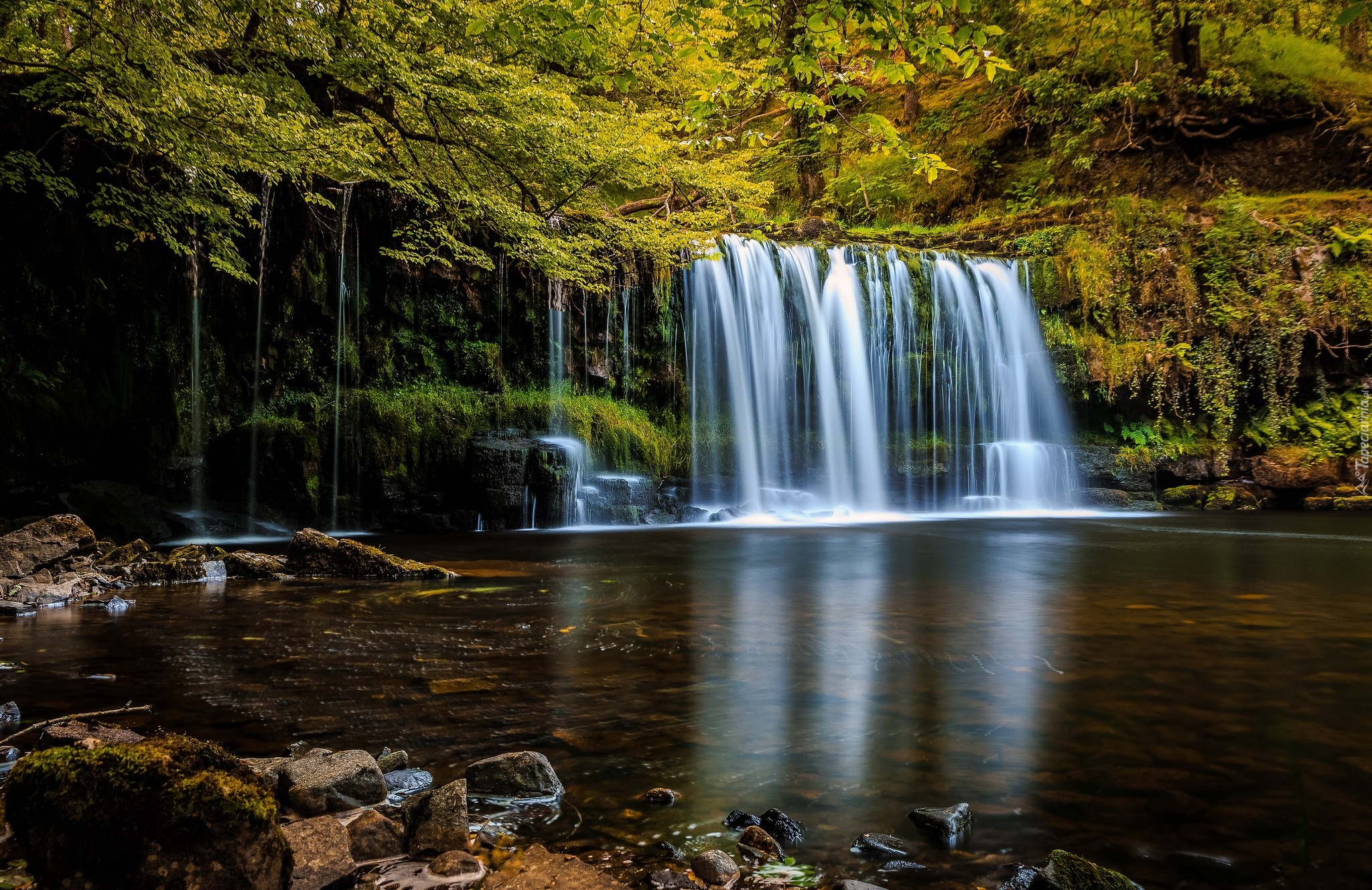 Walia, Park Narodowy Brecon Beacons, Wodospad Sgwd Ddwli Uchaf, Las, Drzewa, Rzeka