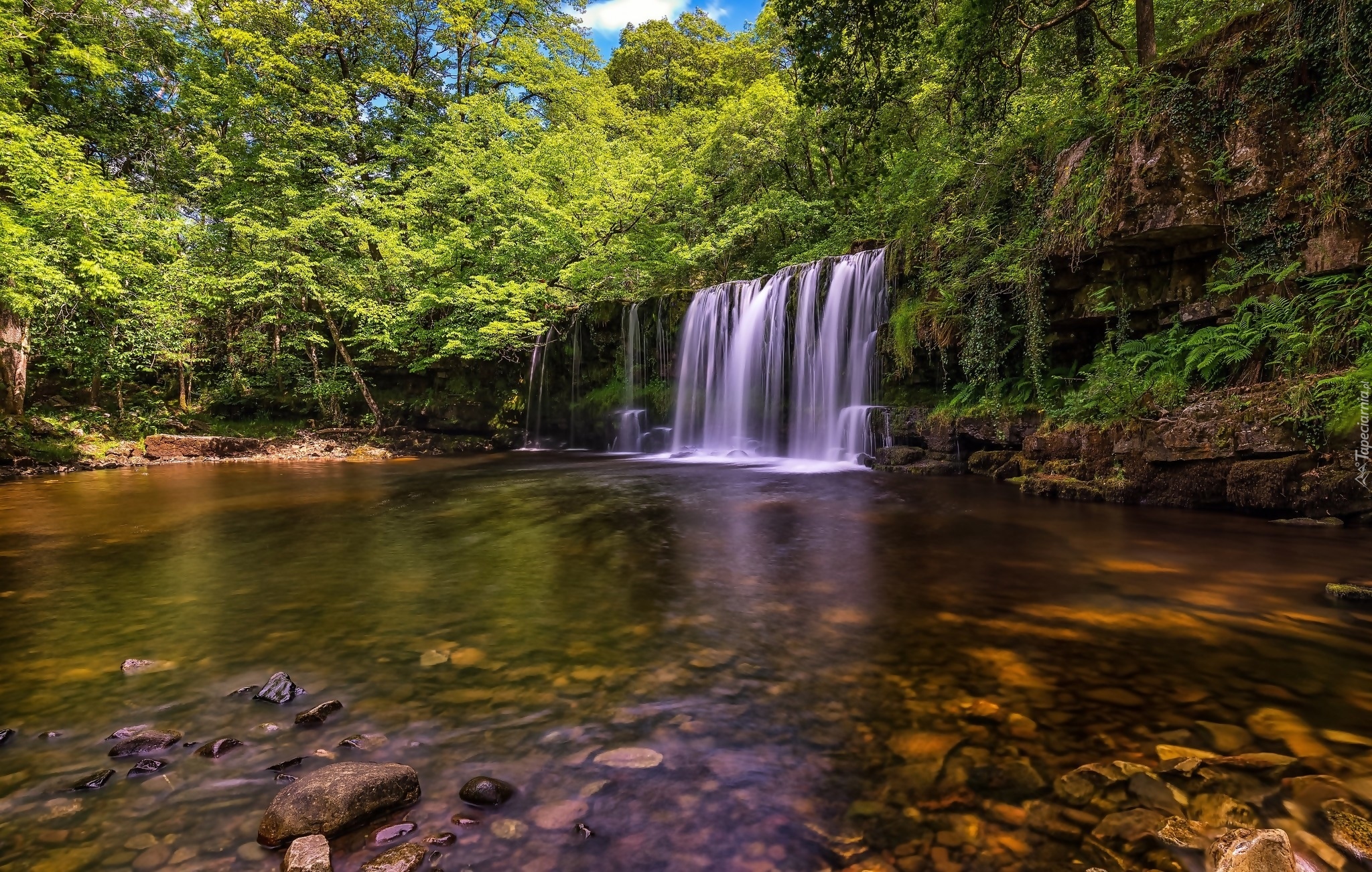 Walia, Park Narodowy Brecon Beacons, Wodospad Sgwd Yr Eira, Rzeka Afon Hepste, Skały, Drzewa