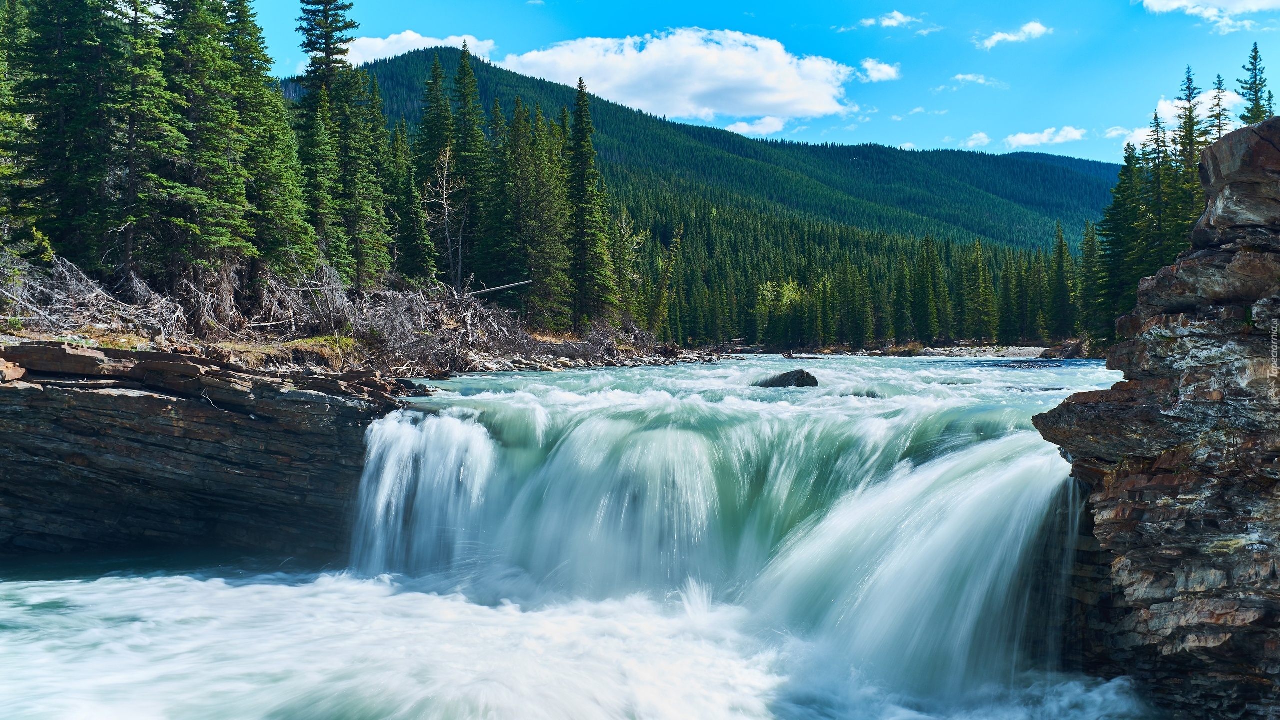 Las, Drzewa, Góry, Rzeka, Sheep River, Wodospad, Sheep River Falls, Alberta, Kanada