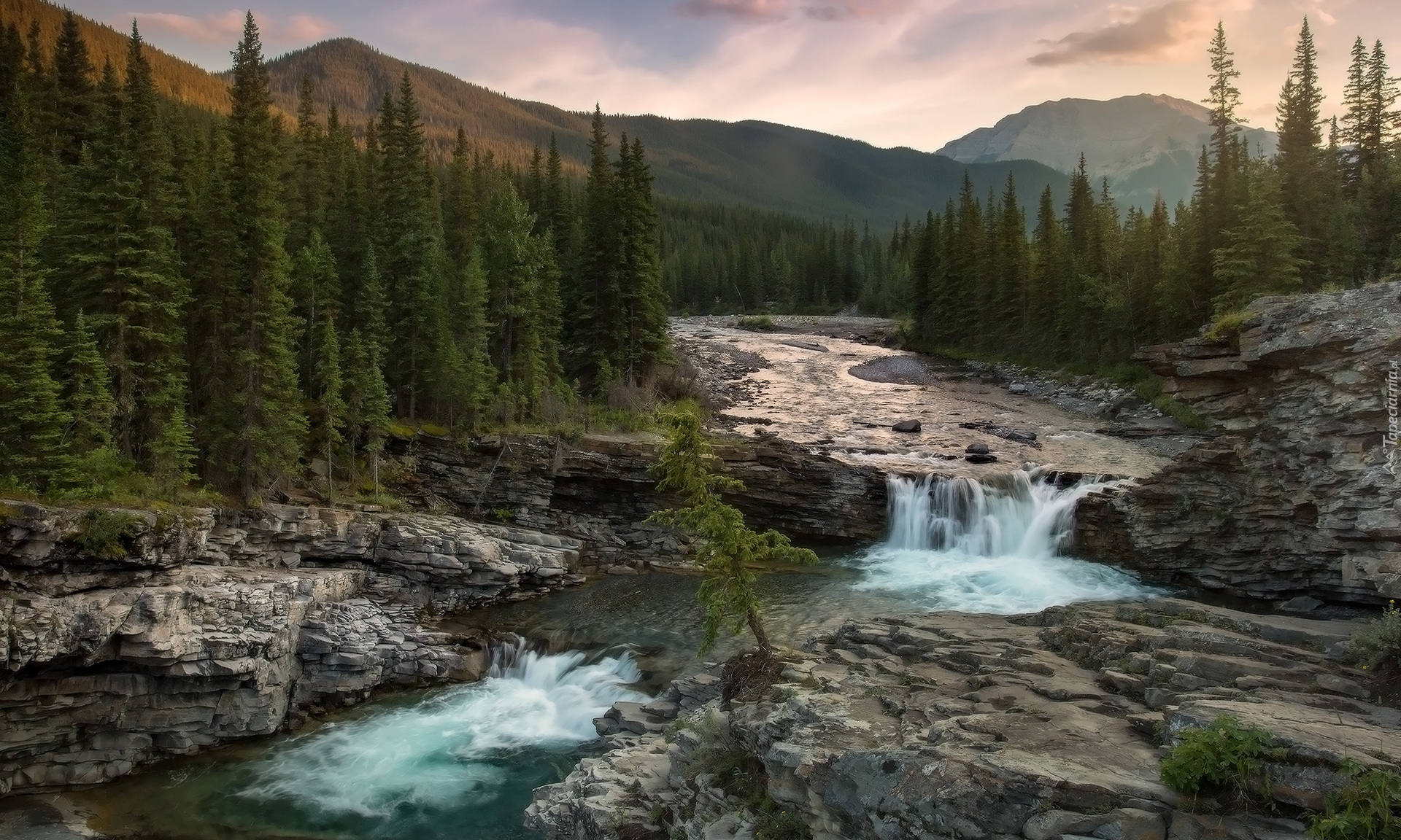 Góry Skaliste, Skały, Drzewa, Rzeka Sheep, Wodospad Sheep River, Prowincja Alberta, Kanada