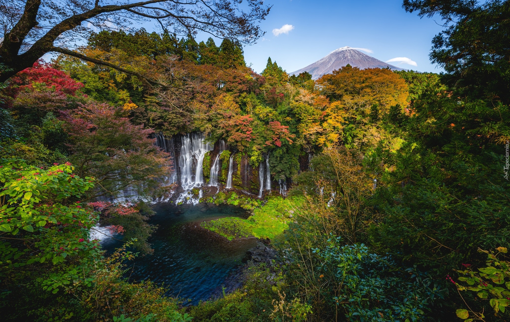 Japonia, Shizuoka, Park Narodowy Fudżi Hakone Izu, Góra Fudżi, Wodospad Shiraito, Rzeka, Drzewa, Roślinność