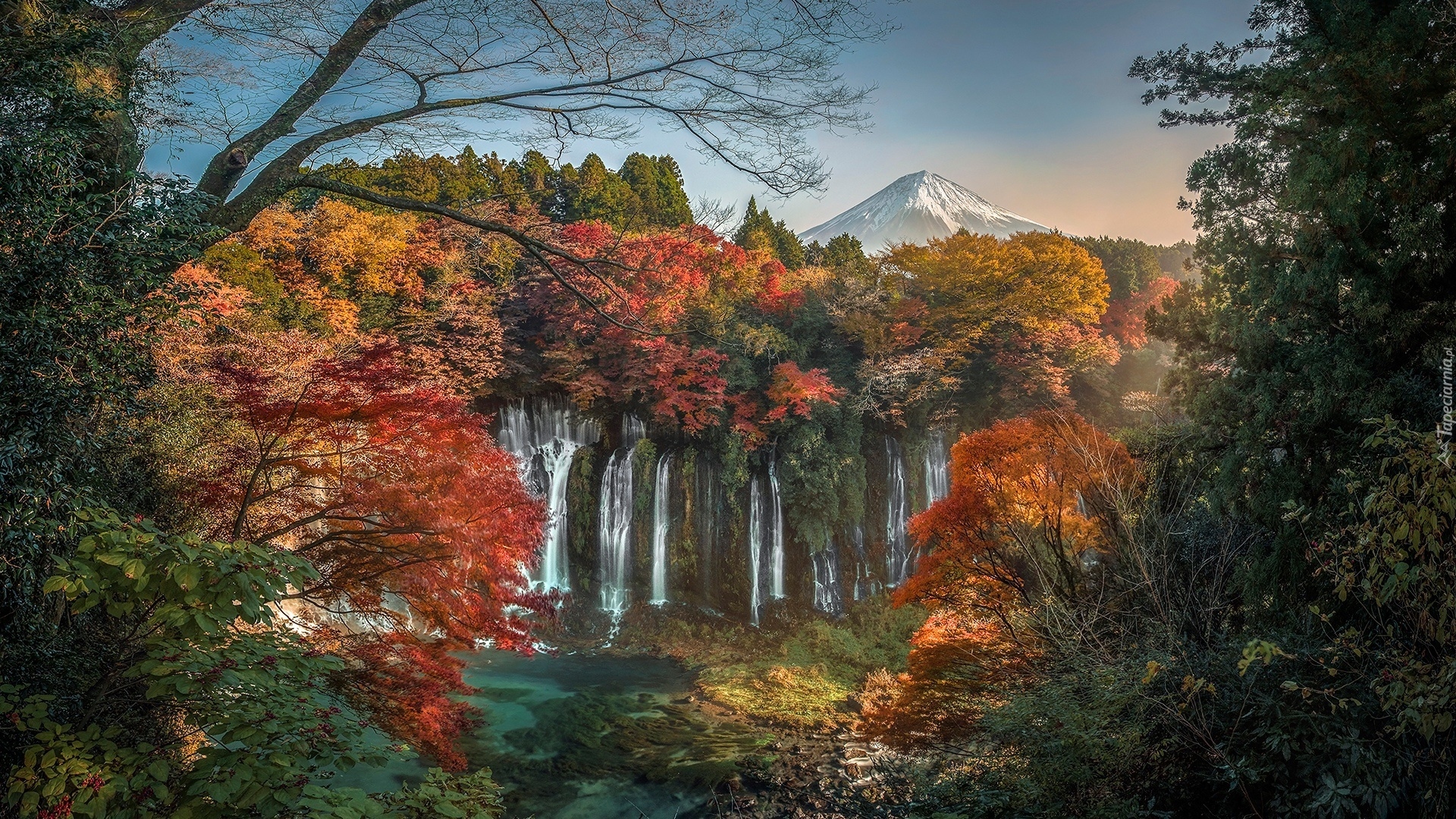 Jesień, Liście, Drzewa, Gałęzie, Wieczór, Wodospad Shiraito, Park Narodowy Fudżi-Hakone-Izu, Japonia