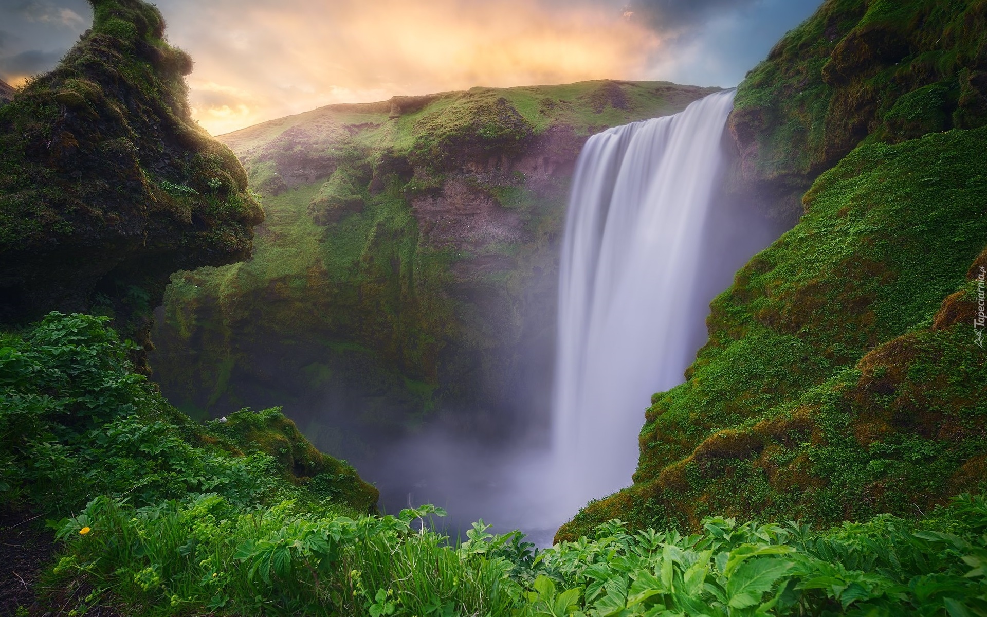 Wodospad Skogafoss, Roślinność, Islandia