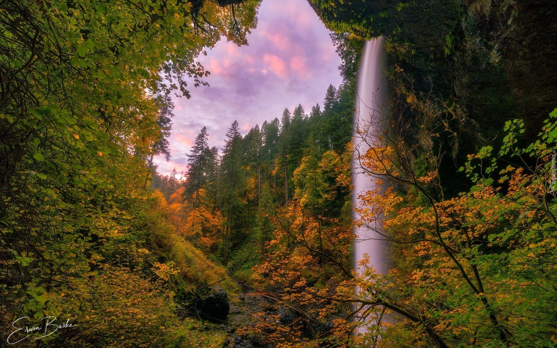 Wodospad, South Falls, Las, Drzewa, Skały, Jesień, Roślinność, Park stanowy Silver Falls, Stan Oregon, Stany Zjednoczone