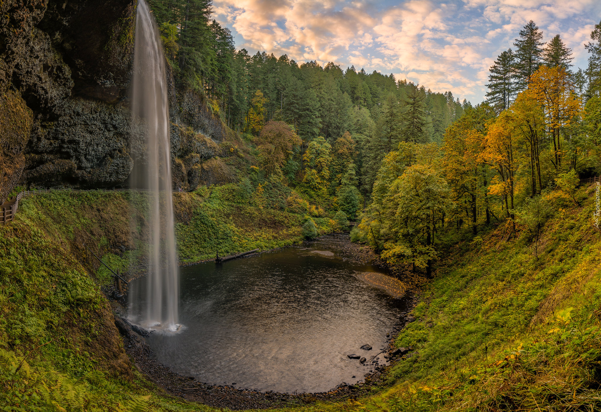 Wodospad, South Falls, Las, Drzewa, Skały, Roślinność, Park stanowy Silver Falls, Stan Oregon, Stany Zjednoczone