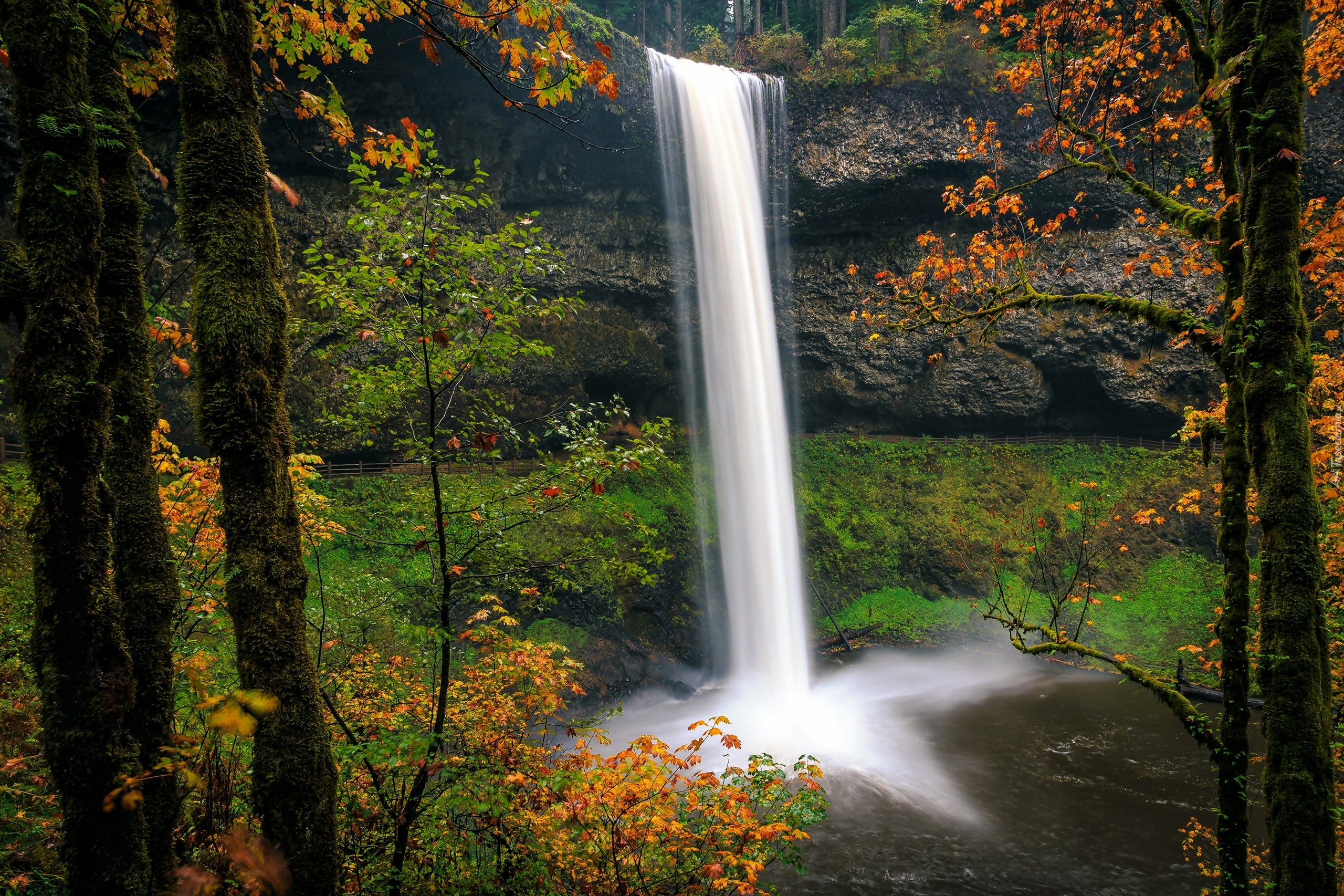 Wodospad South Falls, Skała, Park stanowy Silver Falls, Jesień, Stan Oregon, Stany Zjednoczone