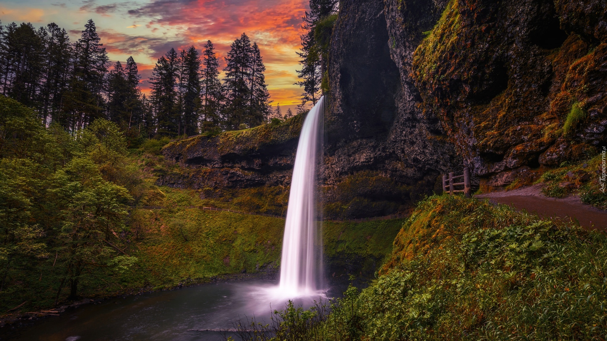 Stany Zjednoczone, Oregon, Park stanowy, Silver Falls State Park, Wodospad, South Falls, Drzewa