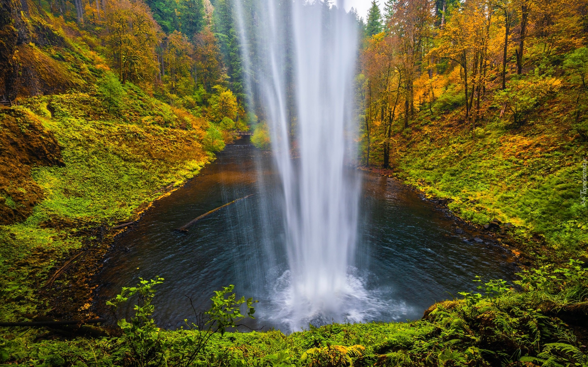 Wodospad South Falls, Las, Drzewa, Jesień, Park stanowy Silver Falls, Oregon, Stany Zjednoczone