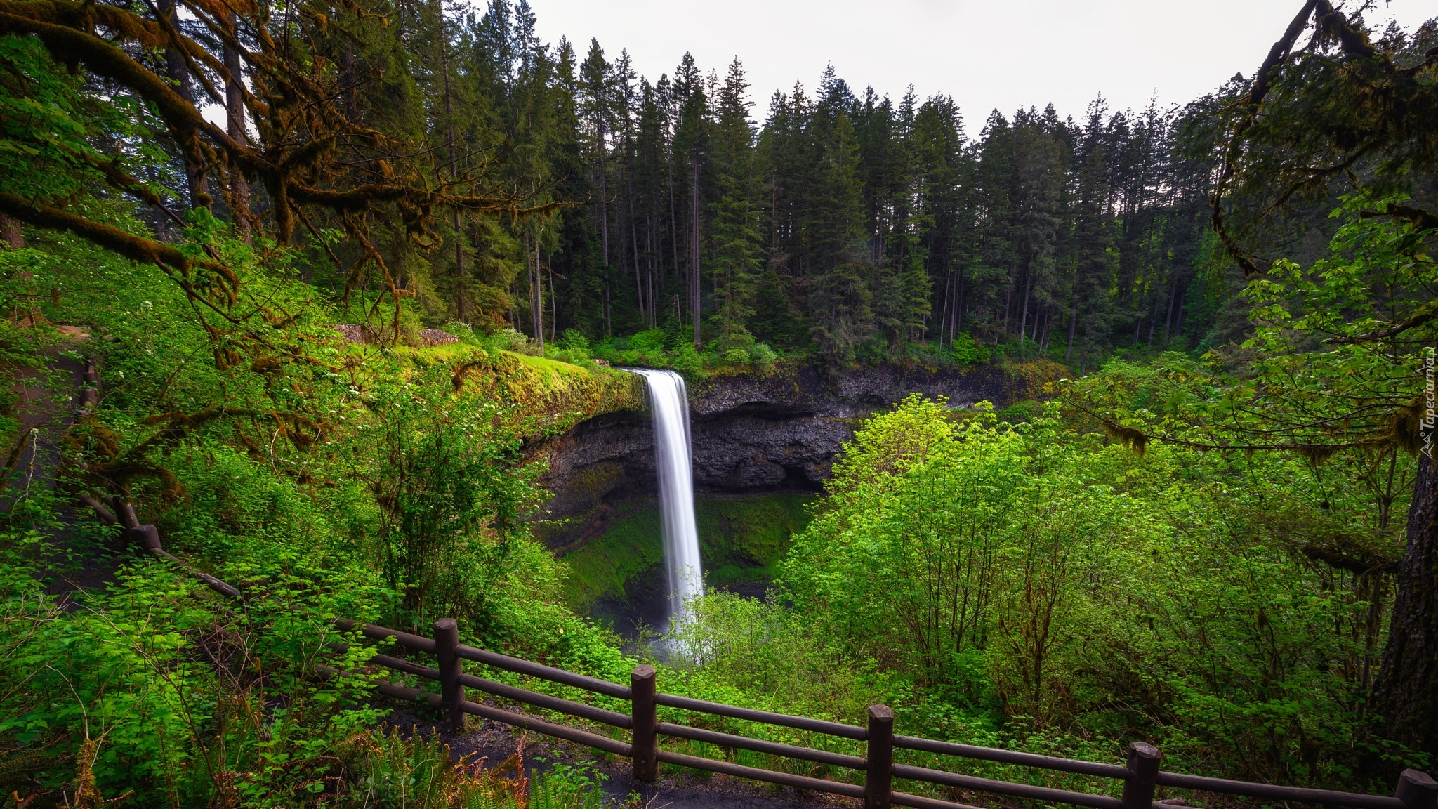 Wodospad, South Falls, Skały, Drzewa, Park stanowy Silver Falls, Stan Oregon, Stany Zjednoczone