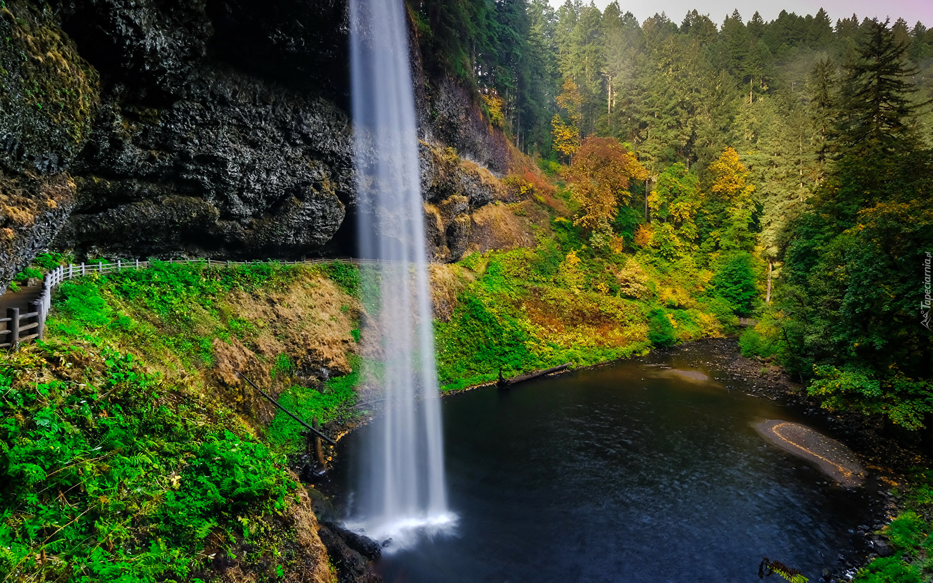 Wodospad South Falls, Las, Drzewa, Skały, Jezioro, Roślinność, Park stanowy Silver Falls, Stan Oregon, Stany Zjednoczone