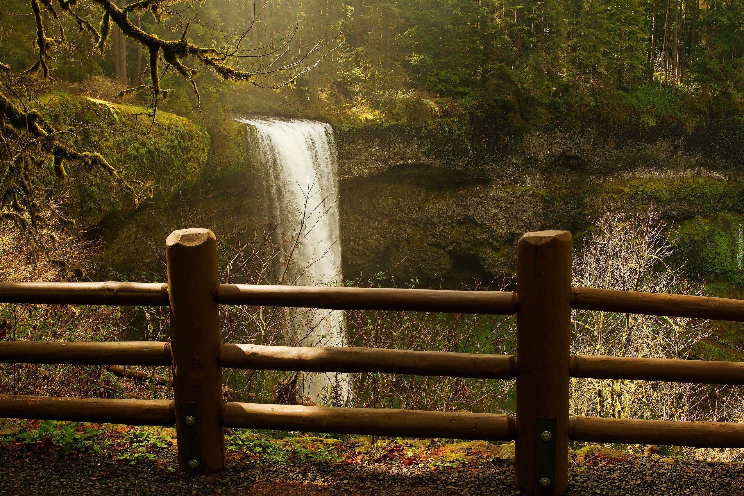 Stany Zjednoczone, Stan Oregon, Park Stanowy Silver Falls, Wodospad South Falls, Las, Płot