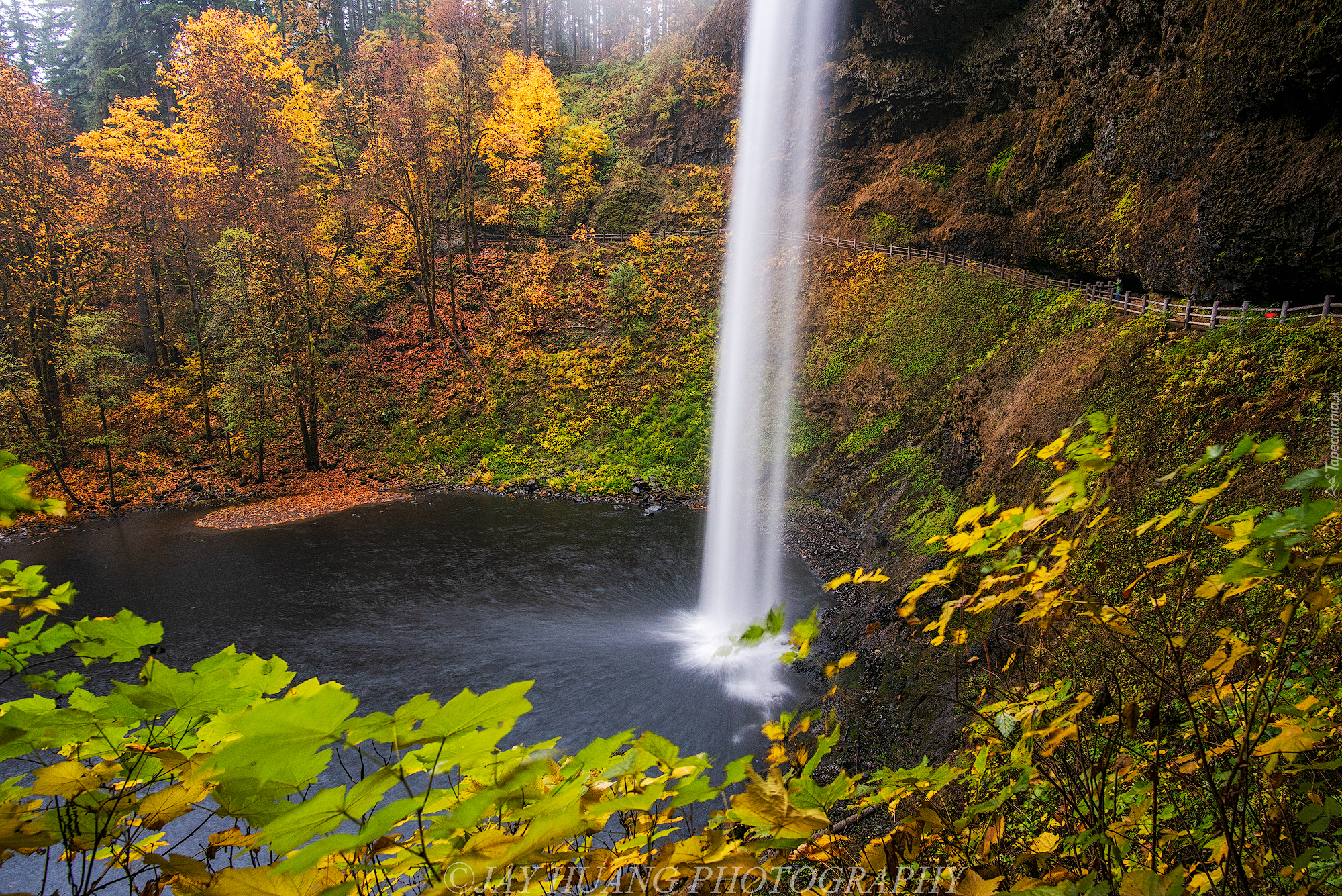 Wodospad South Falls, Las, Drzewa, Jesień, Punkt widokowy, Park miejski Silver Falls, Oregon, Stany Zjednoczone