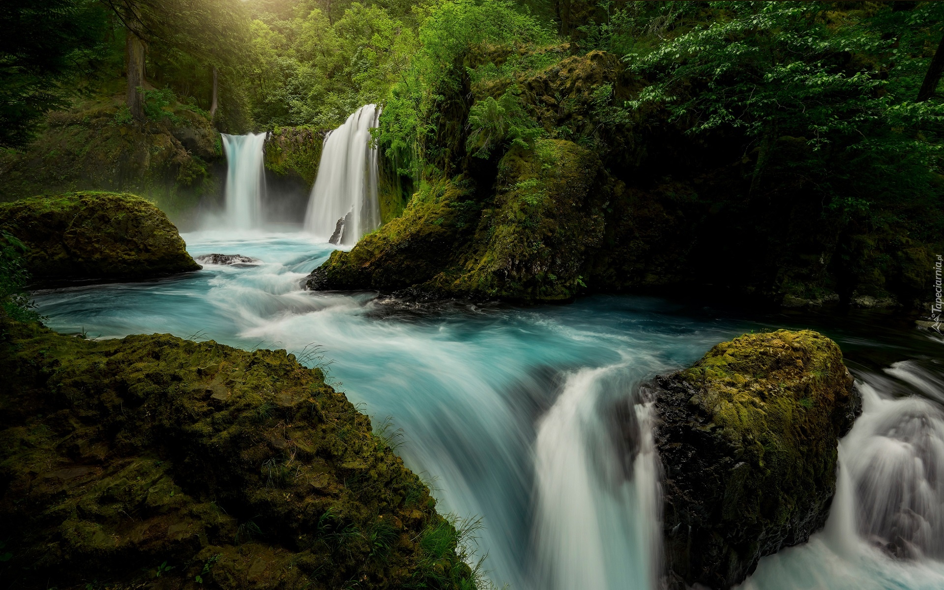 Stany Zjednoczone, Stan Waszyngton, Las Narodowy Gifford Pinchot, Drzewa, Rzeka Little White Salmon River, Wodospad Spirit Falls, Omszałe, Kamienie, Skały