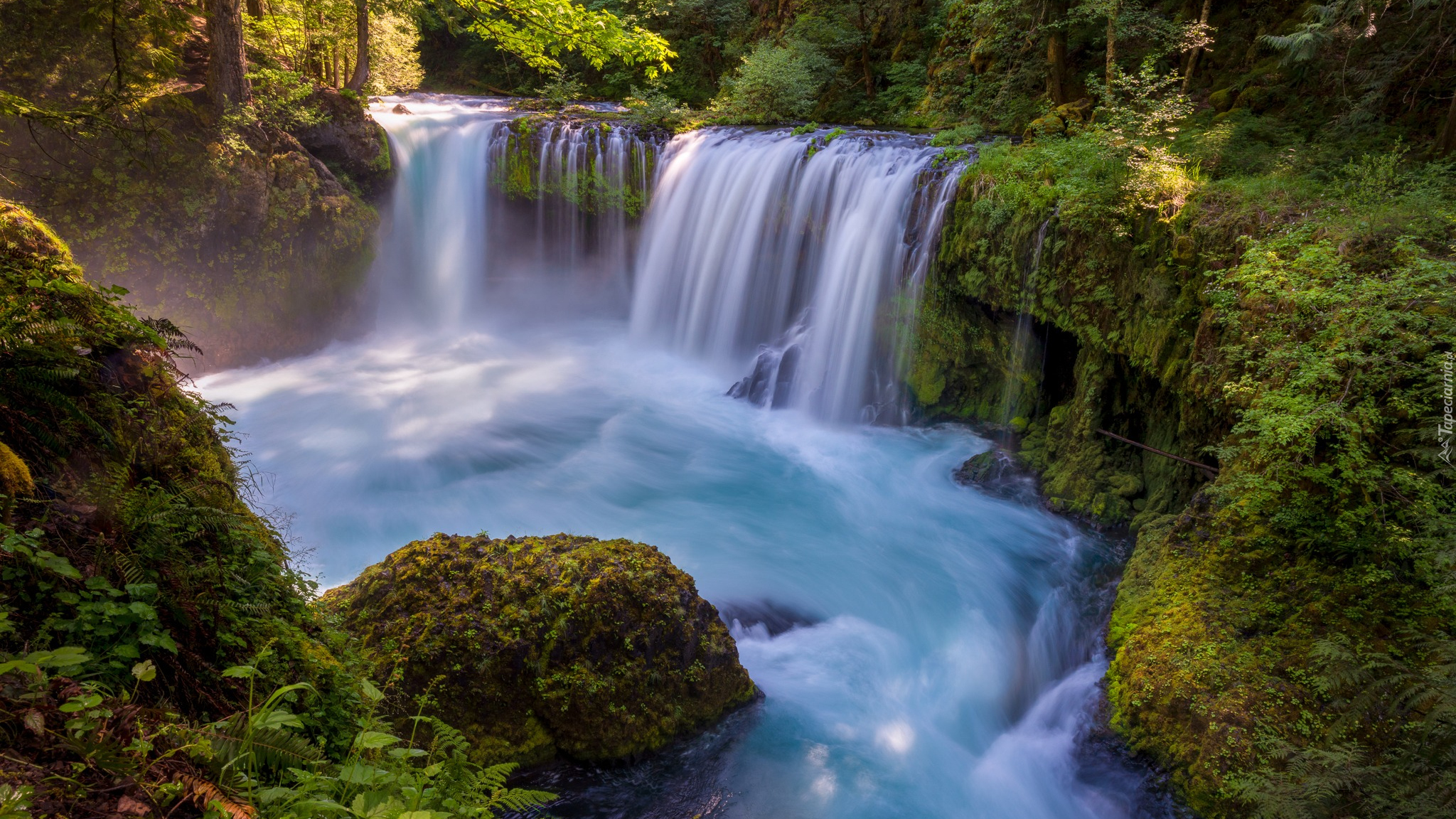 Stany Zjednoczone, Stan Waszyngton, Drzewa, Rzeka, Little White Salmon River, Wodospad, Spirit Falls, Omszałe, Kamienie, Skały