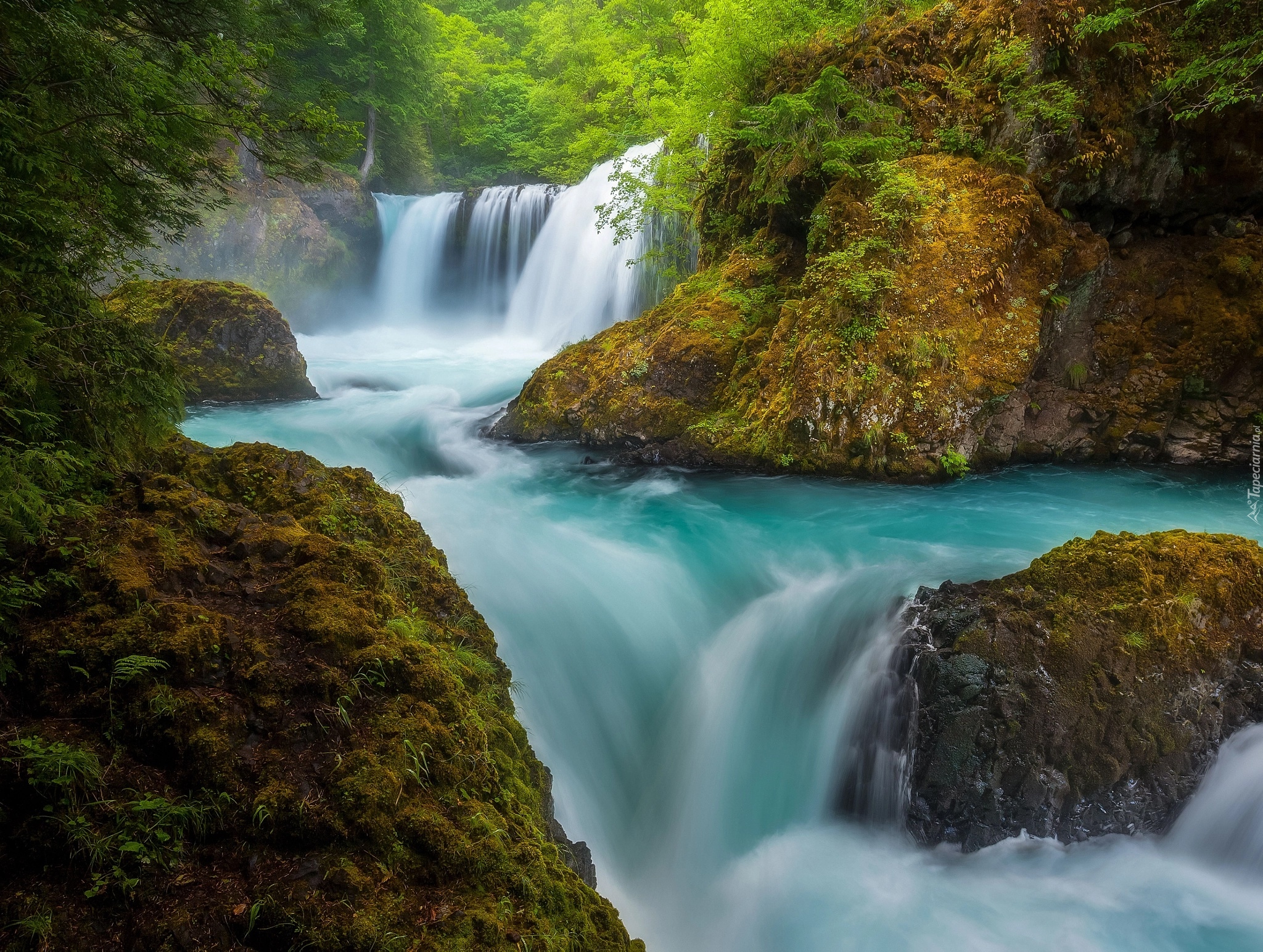 Rzeka Salmon River, Wodospad Spirit Falls, Hrabstwo Skamania, Stan Waszyngton, Stany Zjednoczone, Skały, Roślinność