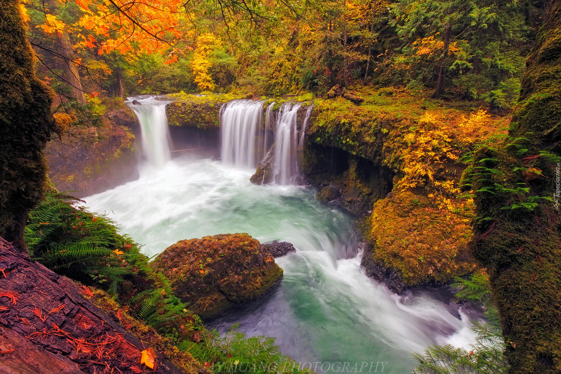 Rzeka White Salmon River, Wodospad Spirit Falls, Rezerwat przyrody Columbia River Gorge, Drzewa, Krzewy, Skały, Jesień, Oregon, Stany Zjednoczone