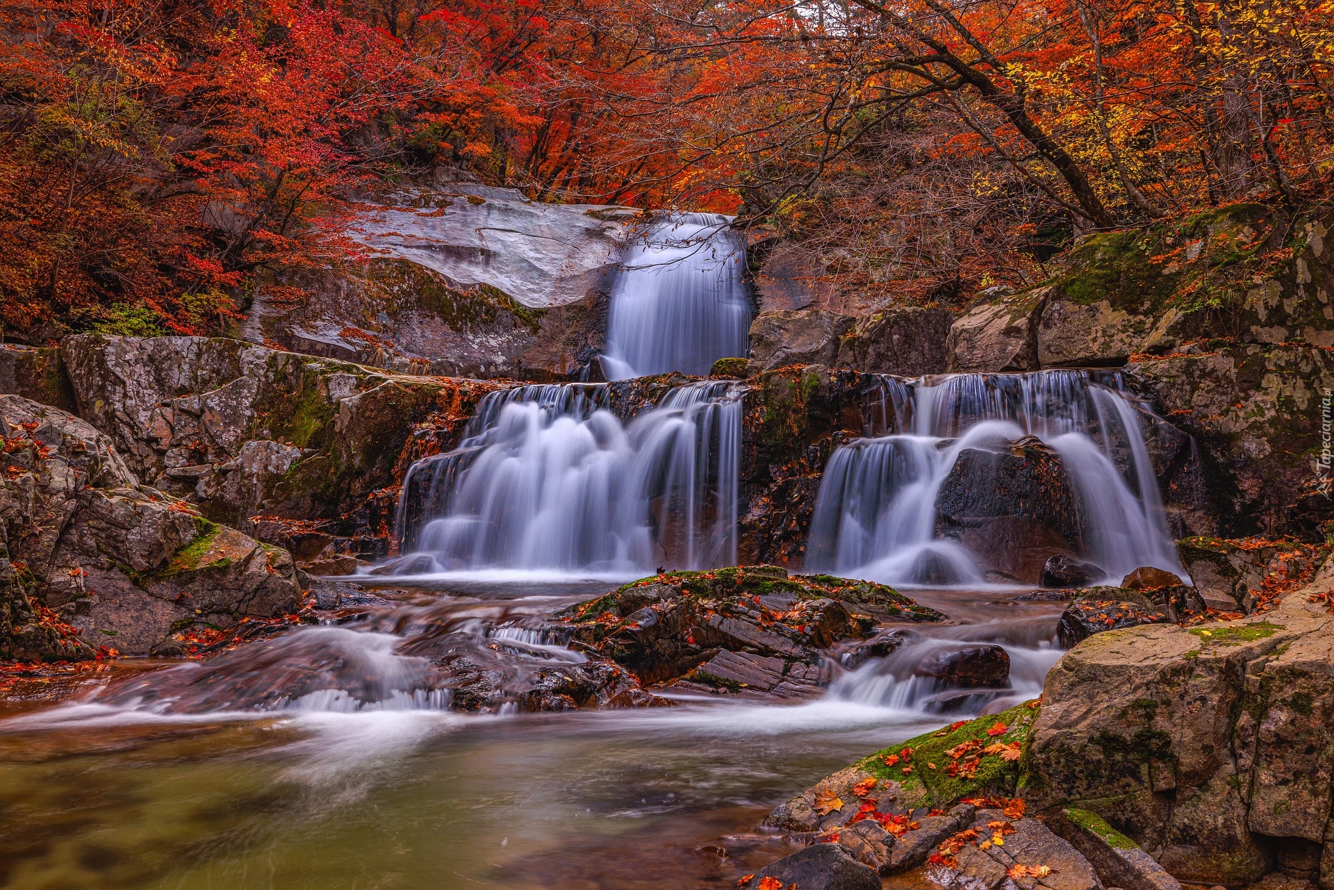 Skały, Wodospad, Drzewa, Jesień