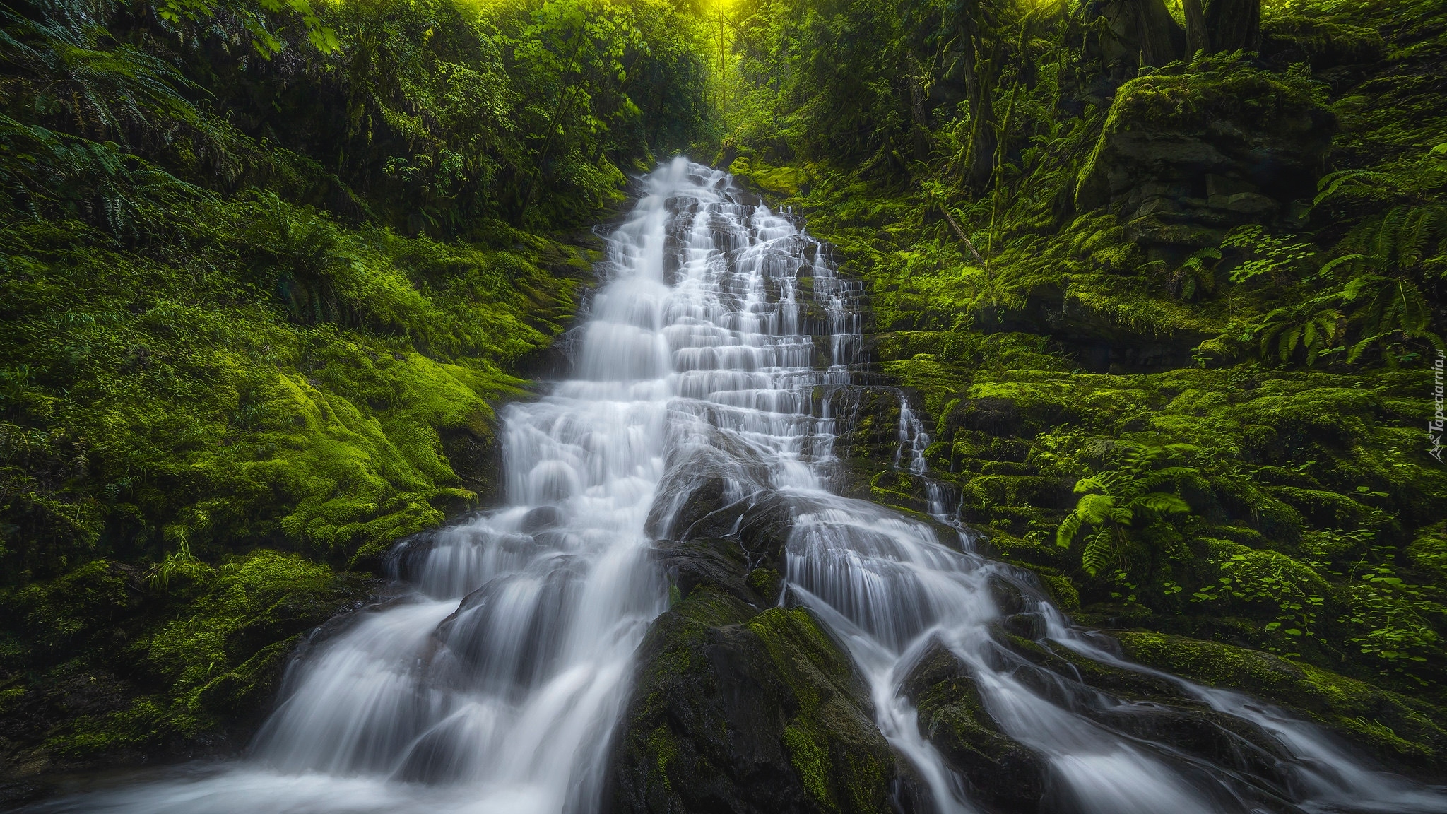 Las, Omszona, Skała, Wodospad, Staircase Falls, Stan Waszyngton, Stany Zjednoczone