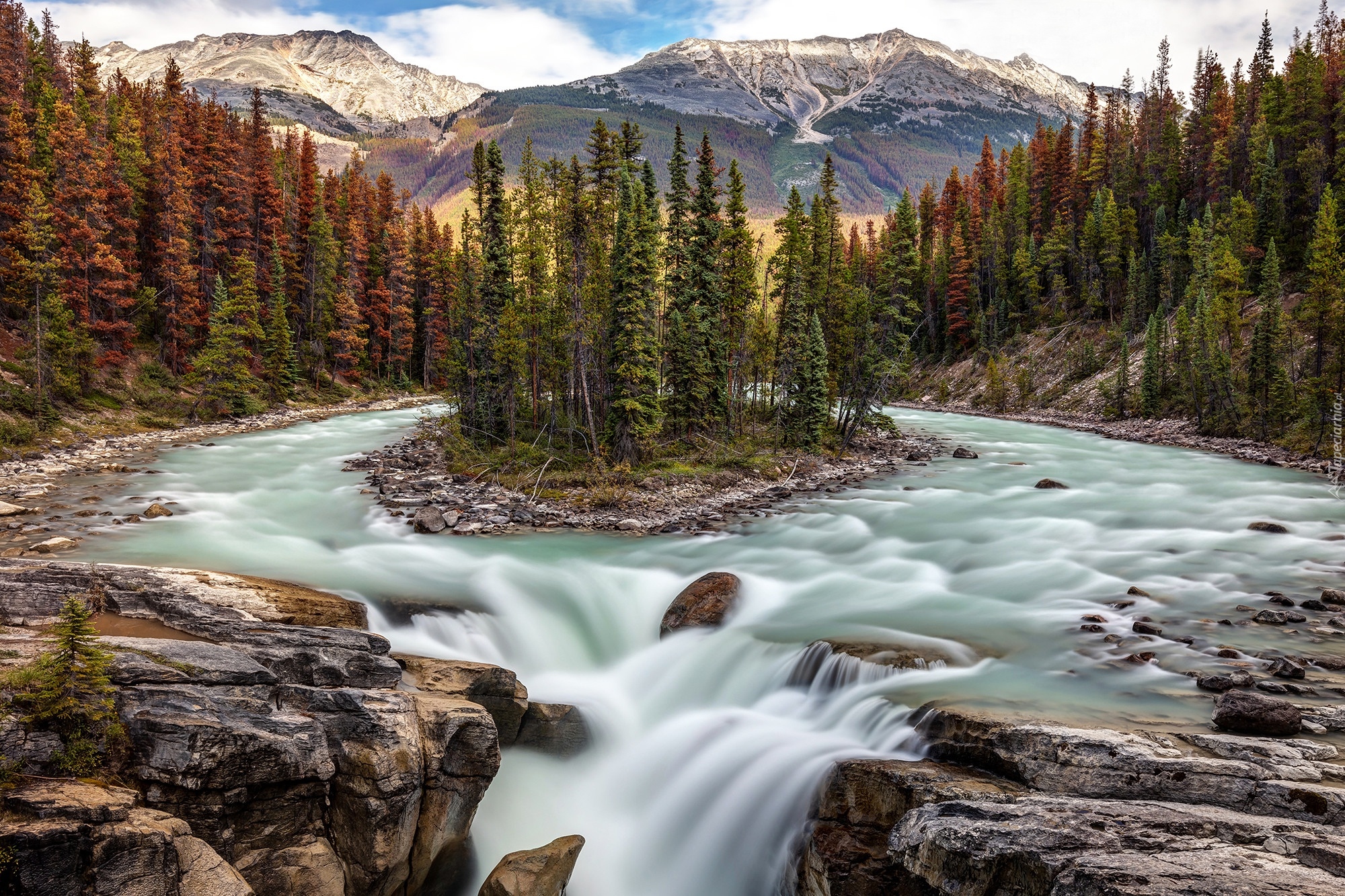 Wodospad Sunwapta Falls, Rzeka Sunwapta, Park Narodowy Jasper, Skały, Drzewa, Alberta, Kanada