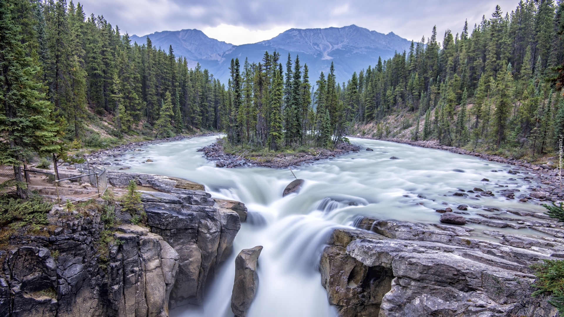 Wodospad Sunwapta Falls, Rzeka Sunwapta, Park Narodowy Jasper, Góry, Drzewa, Prowincja Alberta, Kanada