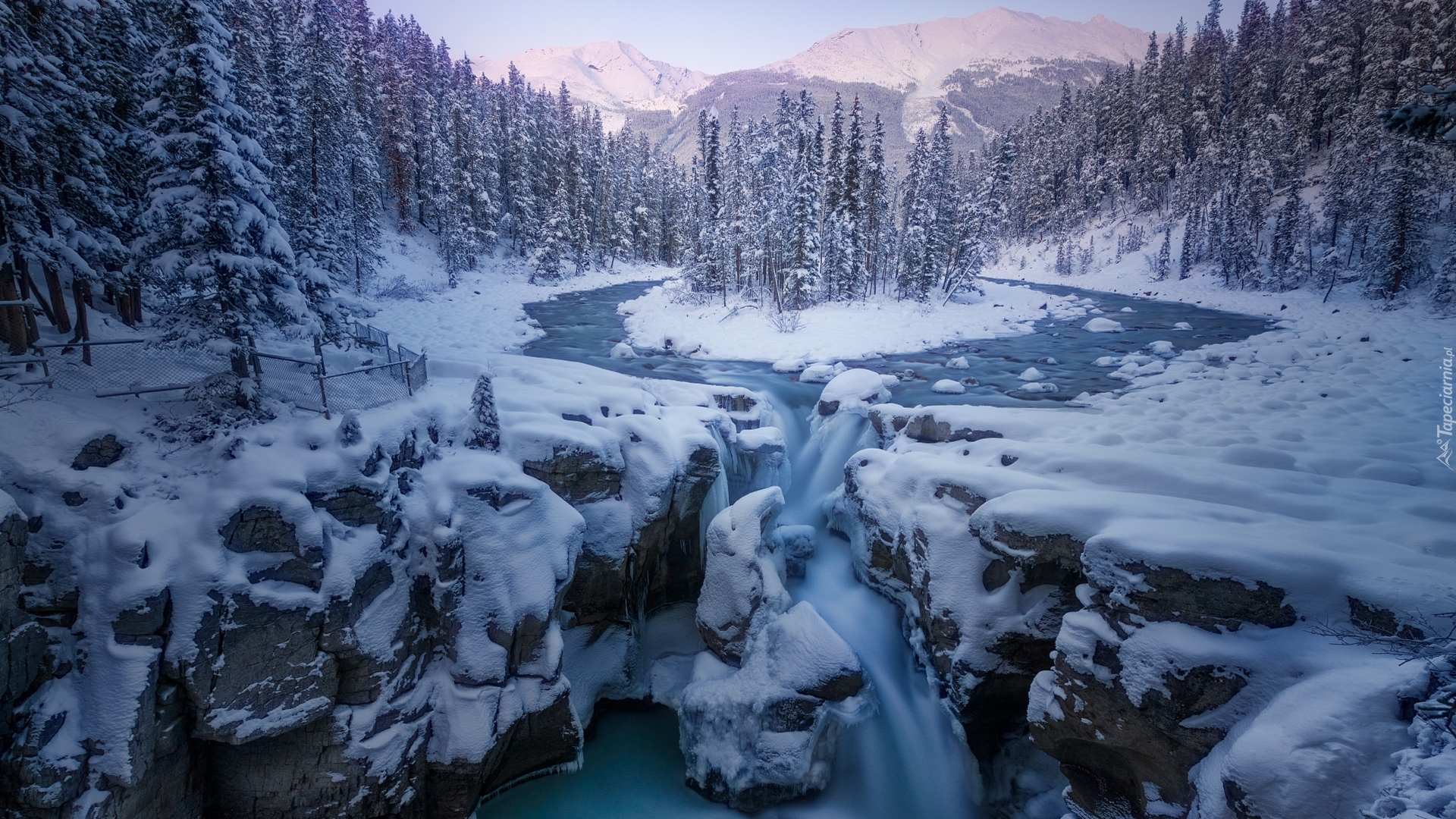 Wodospad Sunwapta Falls, Rzeka Sunwapta, Park Narodowy Jasper, Zima, Góry, Drzewa, Prowincja Alberta, Kanada