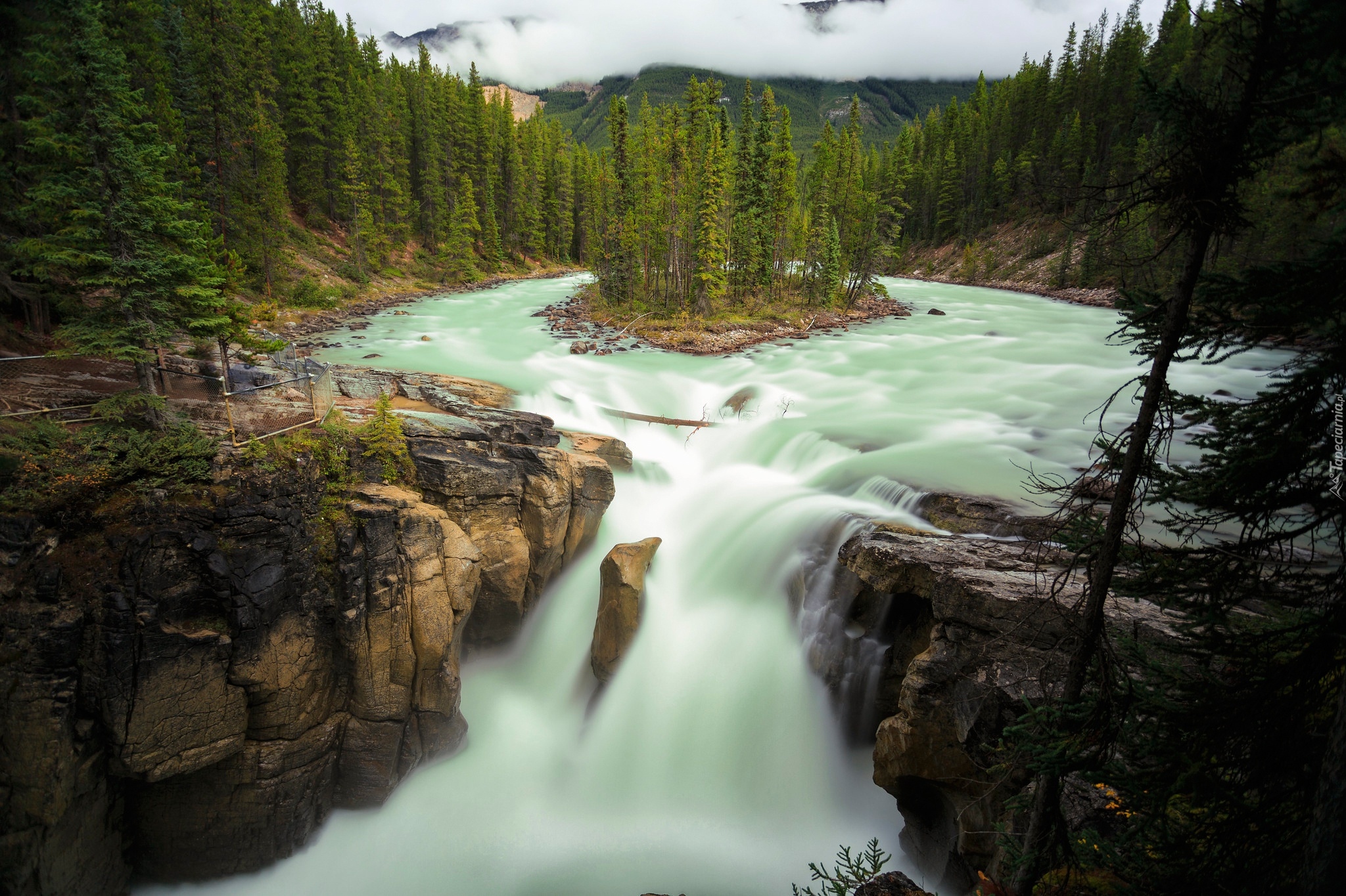 Wodospad Sunwapta Falls, Rzeka Sunwapta, Park Narodowy Jasper, Skały, Drzewa, Prowincja Alberta, Kanada
