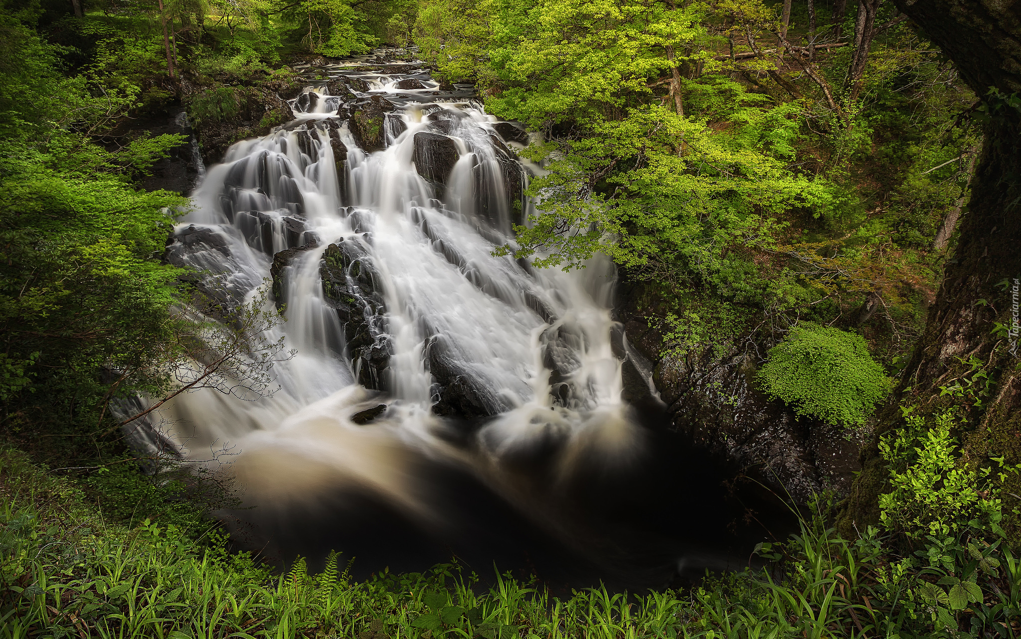 Wodospad Swallow Falls, Las, Drzewa, Skały, Park Narodowy Snowdonia, Walia, Wielka Brytania