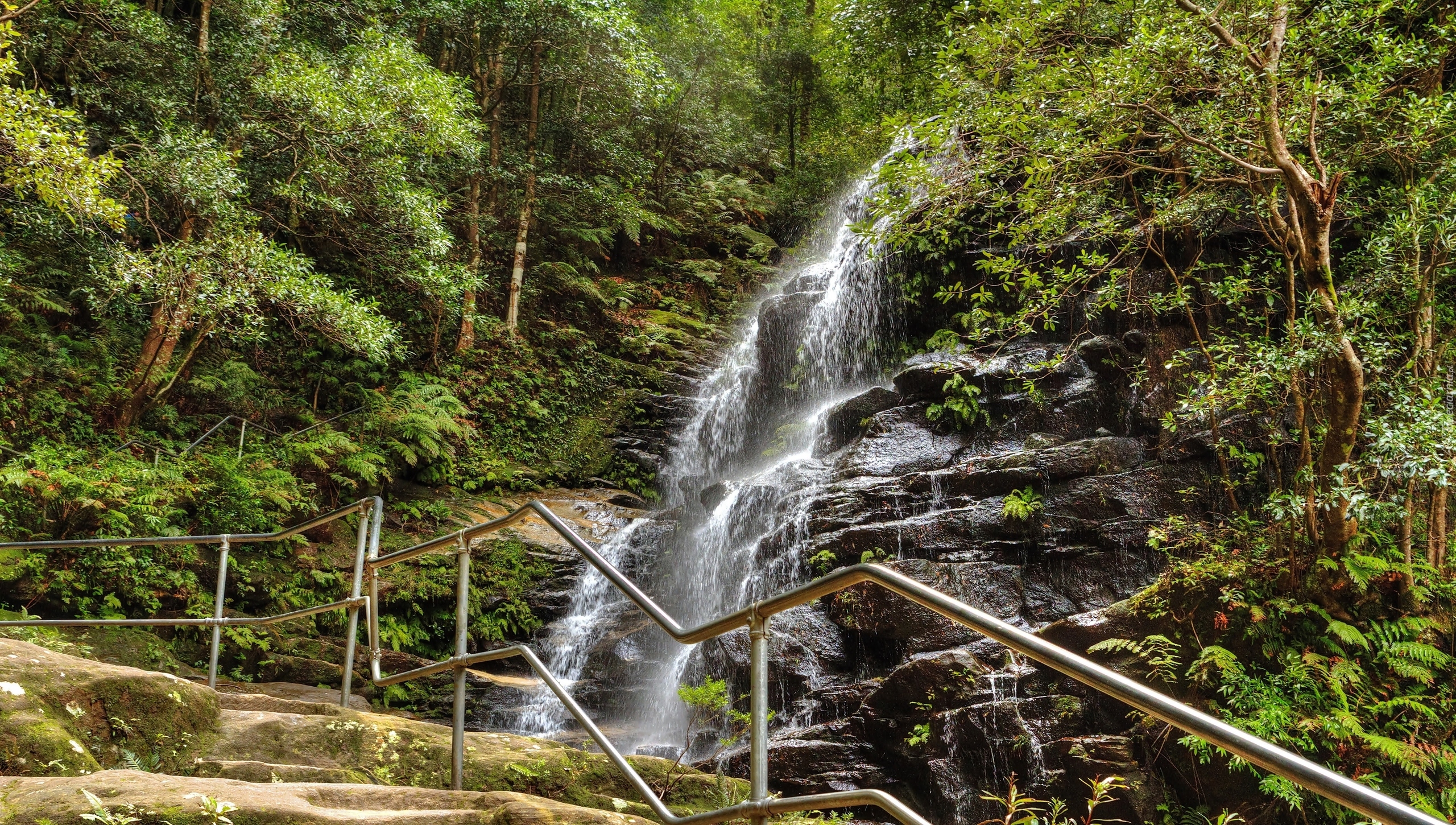 Wodospad Sylvia Falls, Park Narodowy Blue Mountains, Stan Nowa Południowa Walia, Australia, Skały, Las, Drzewa, Paprocie, Ogrodzenie