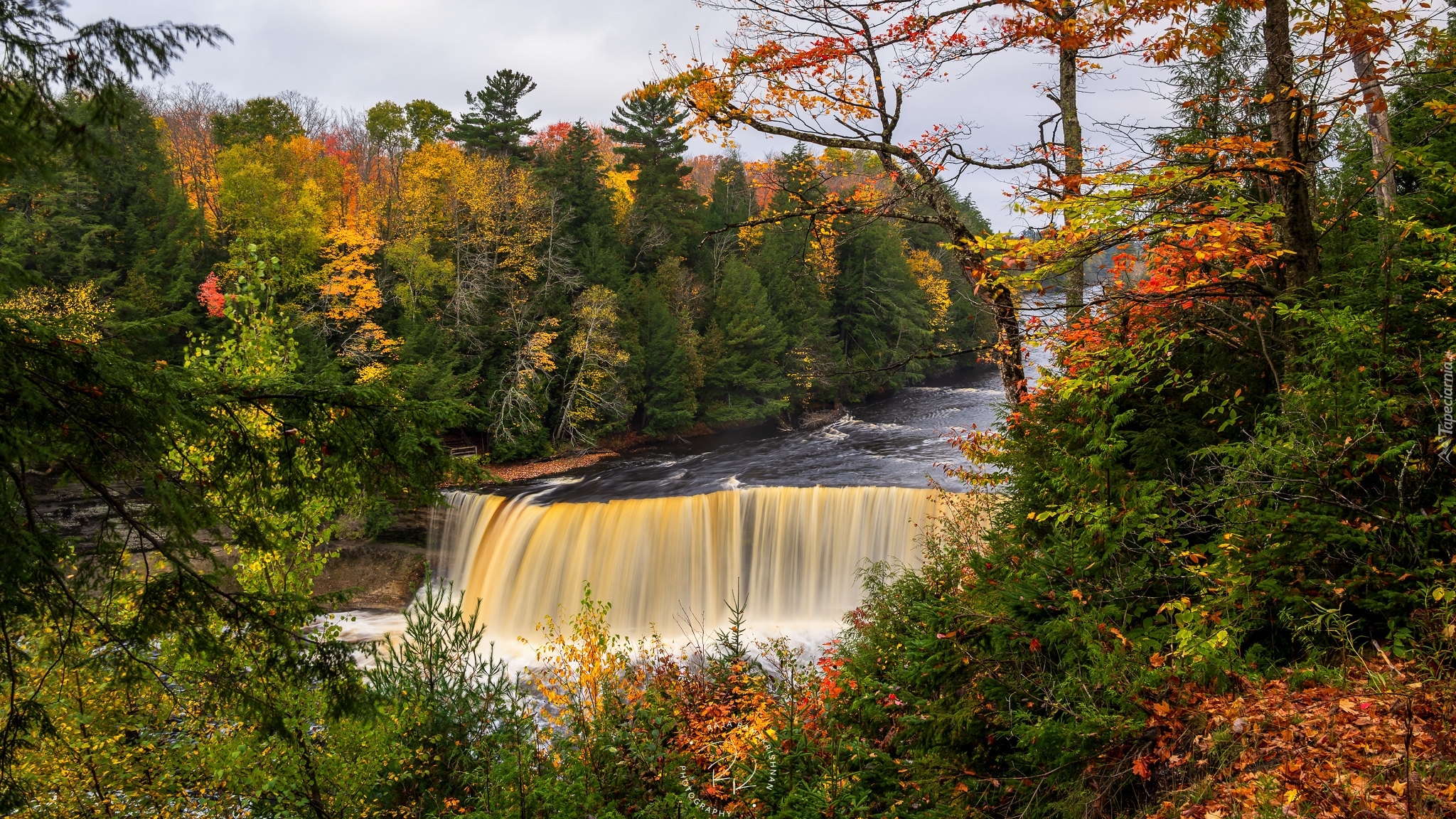 Wodospad, Tahquamenon Falls, Root Beer Falls, Las, Drzewa, Rzeka Tahquamenon, Jesień, Miejscowość Paradise, Stan Michigan, Stany Zjednoczone